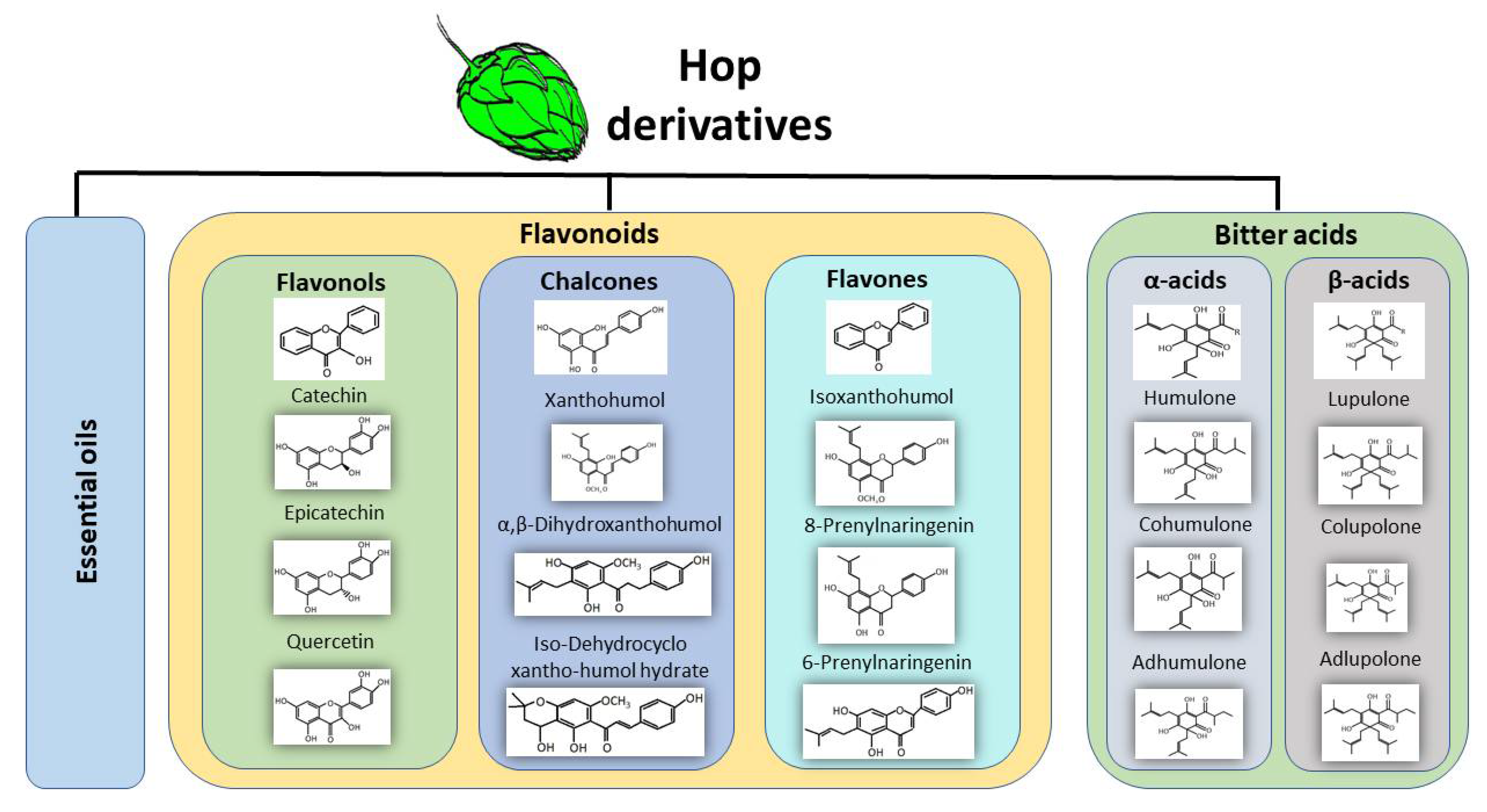 Nutrients 13 02000 g001