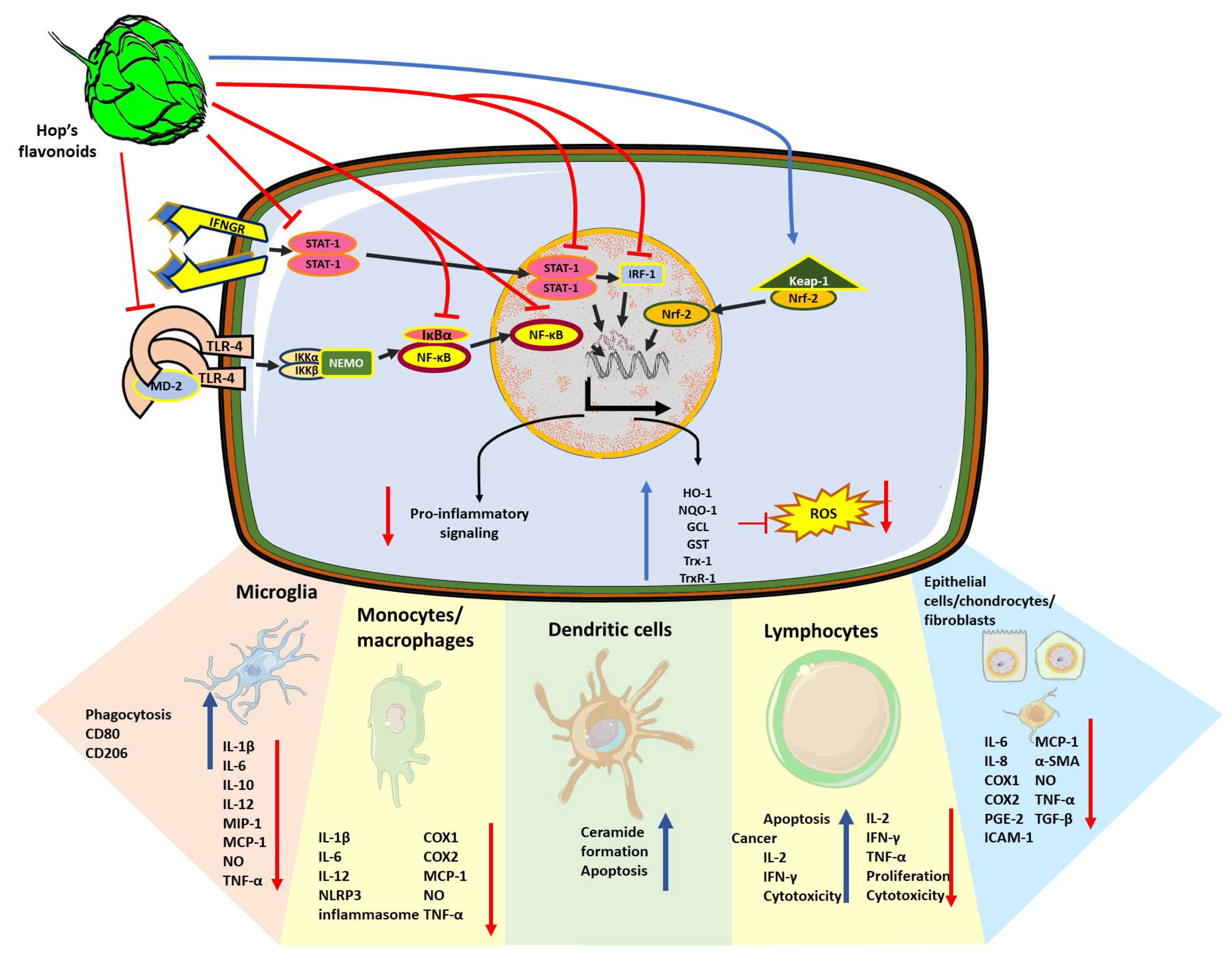 Nutrients 13 02000 g002