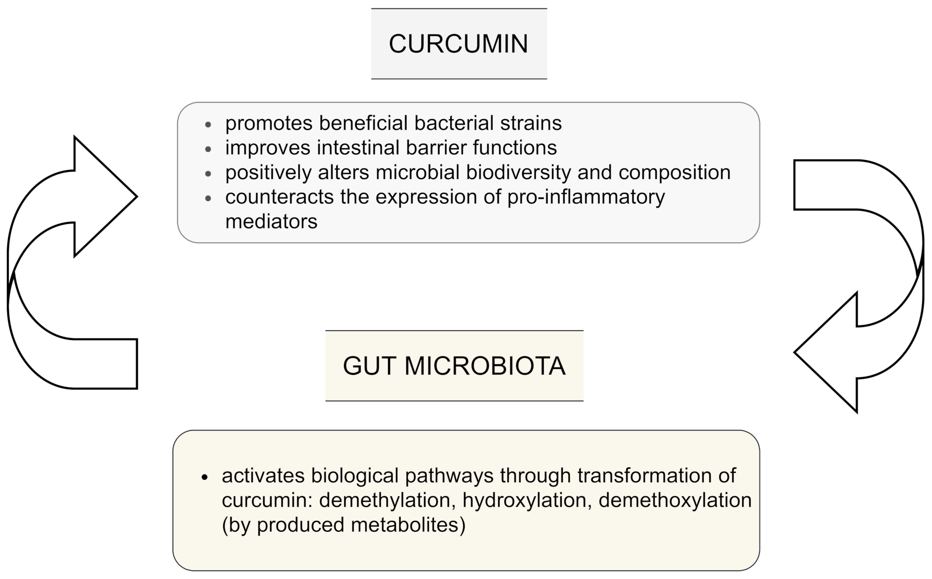 Nutrients 13 02004 g002