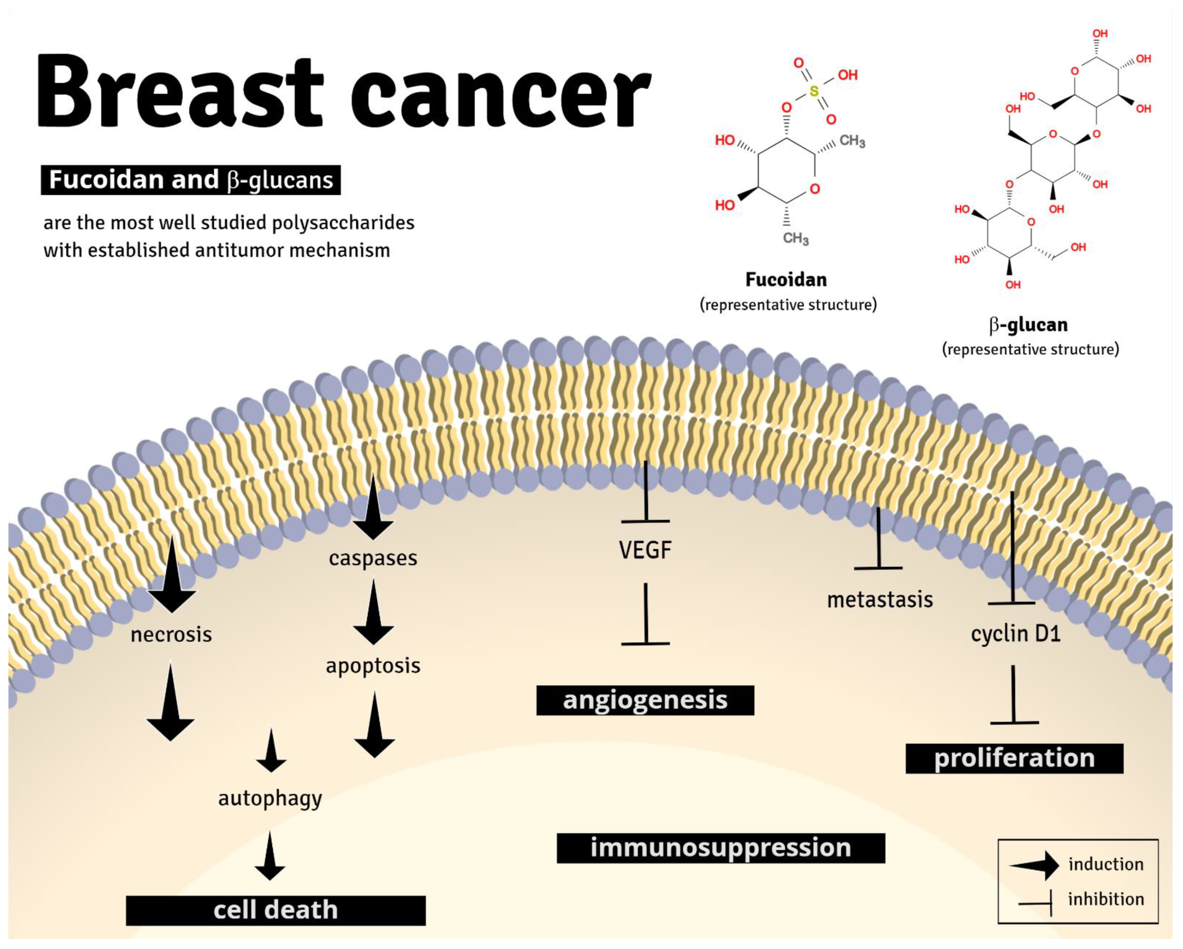 Nutrients 13 02008 g004