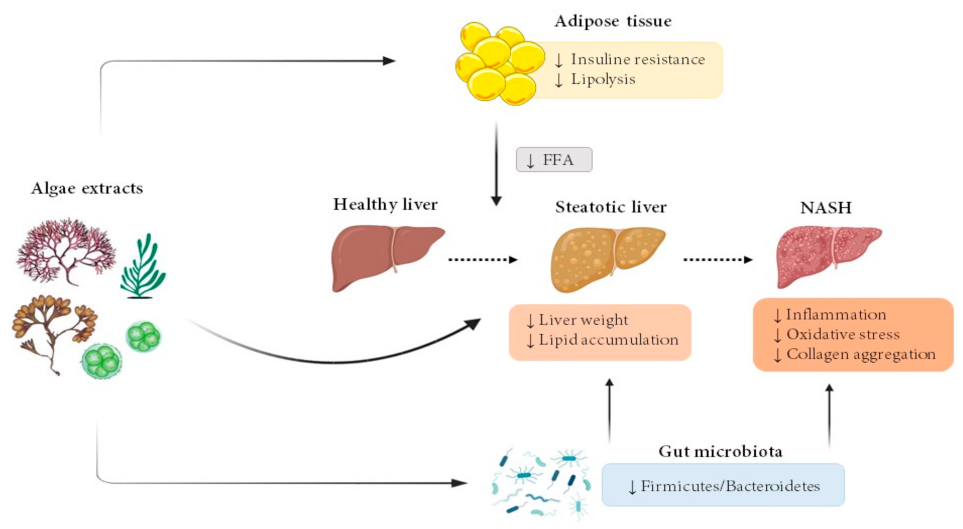 Nutrients 13 02017 g001 Nutrients 13 02017 g001