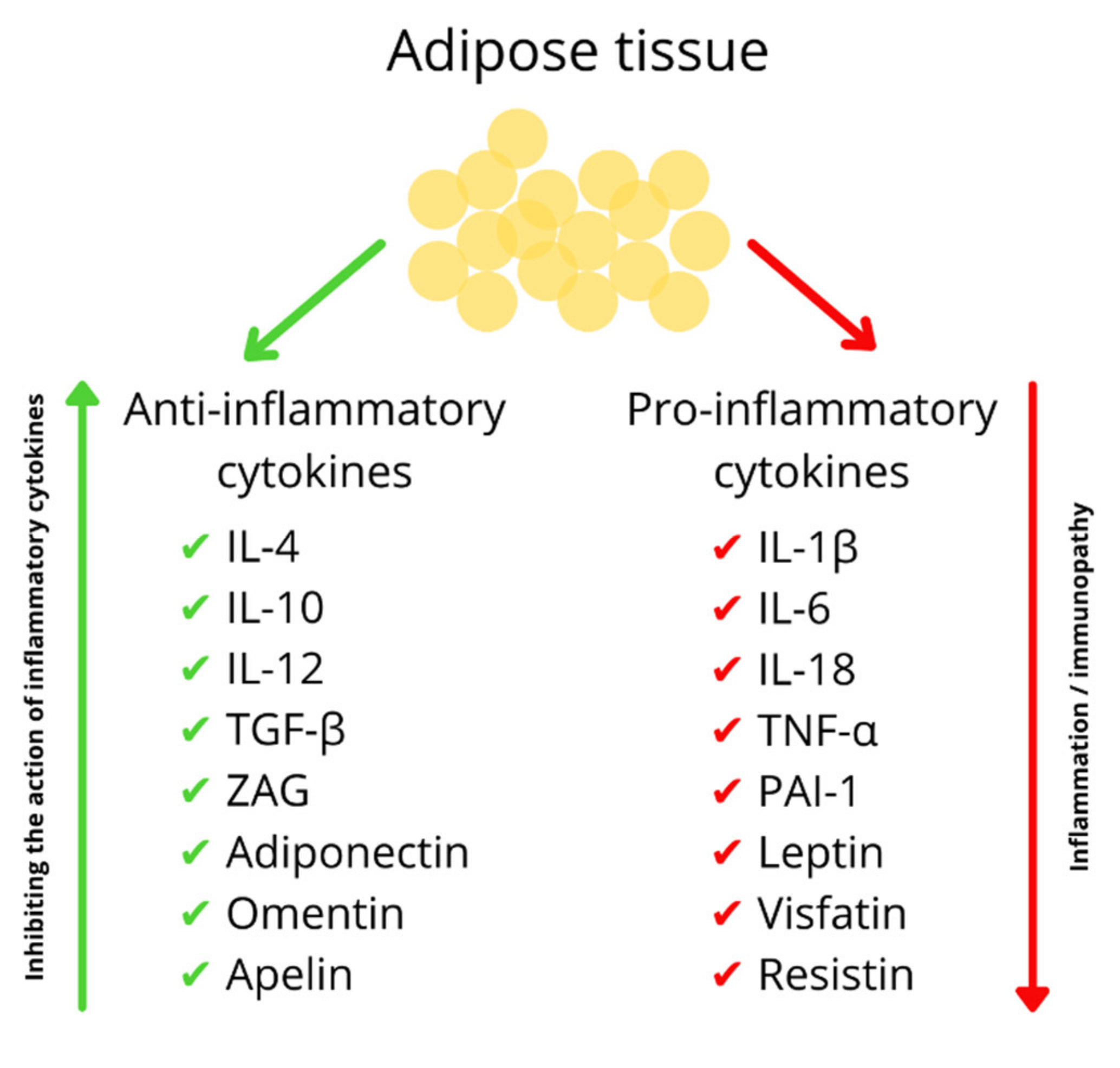 Nutrients 13 02023 g002 Nutrients 13 02023 g002