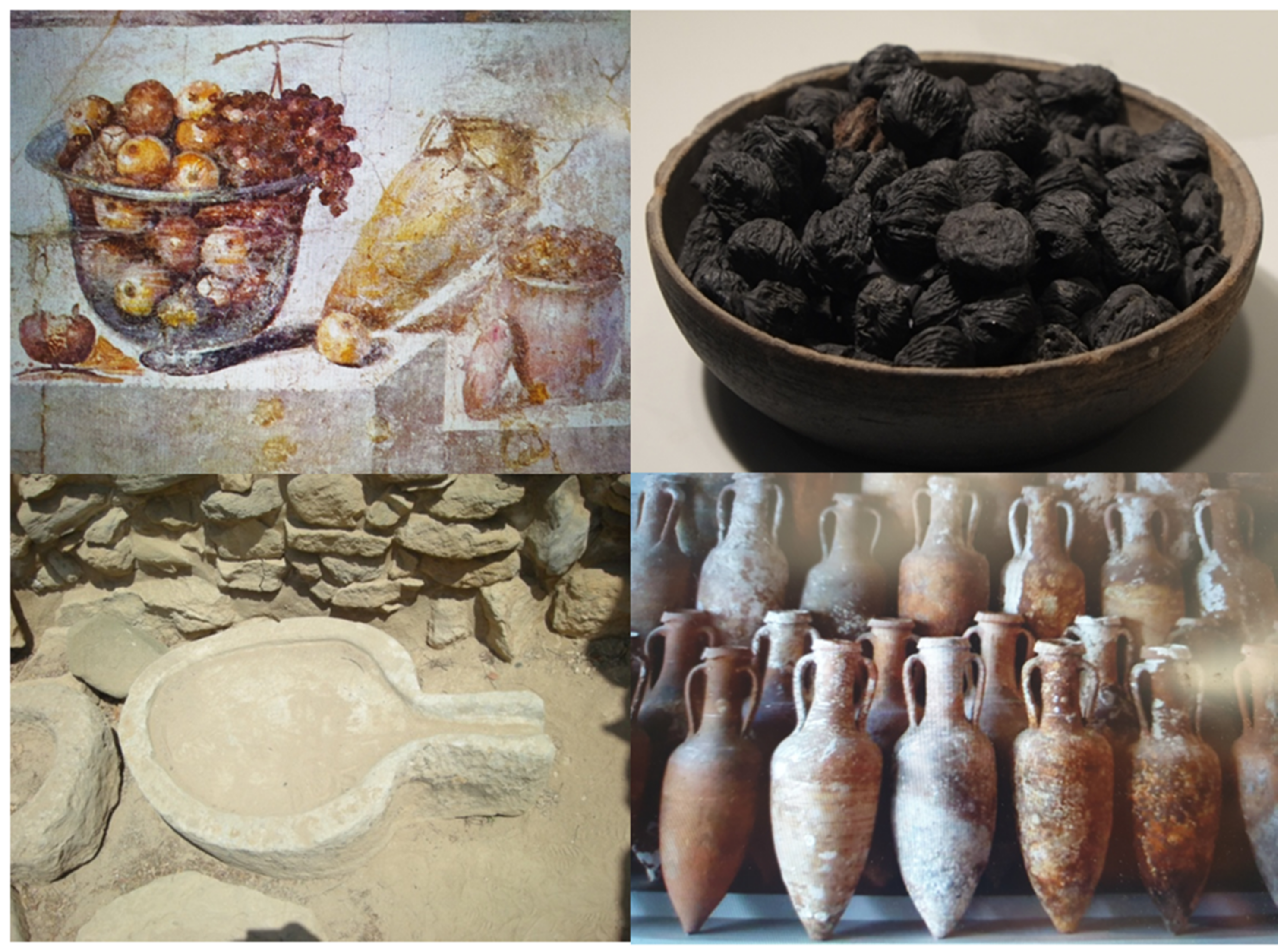 Nutrients 13 02028 g001