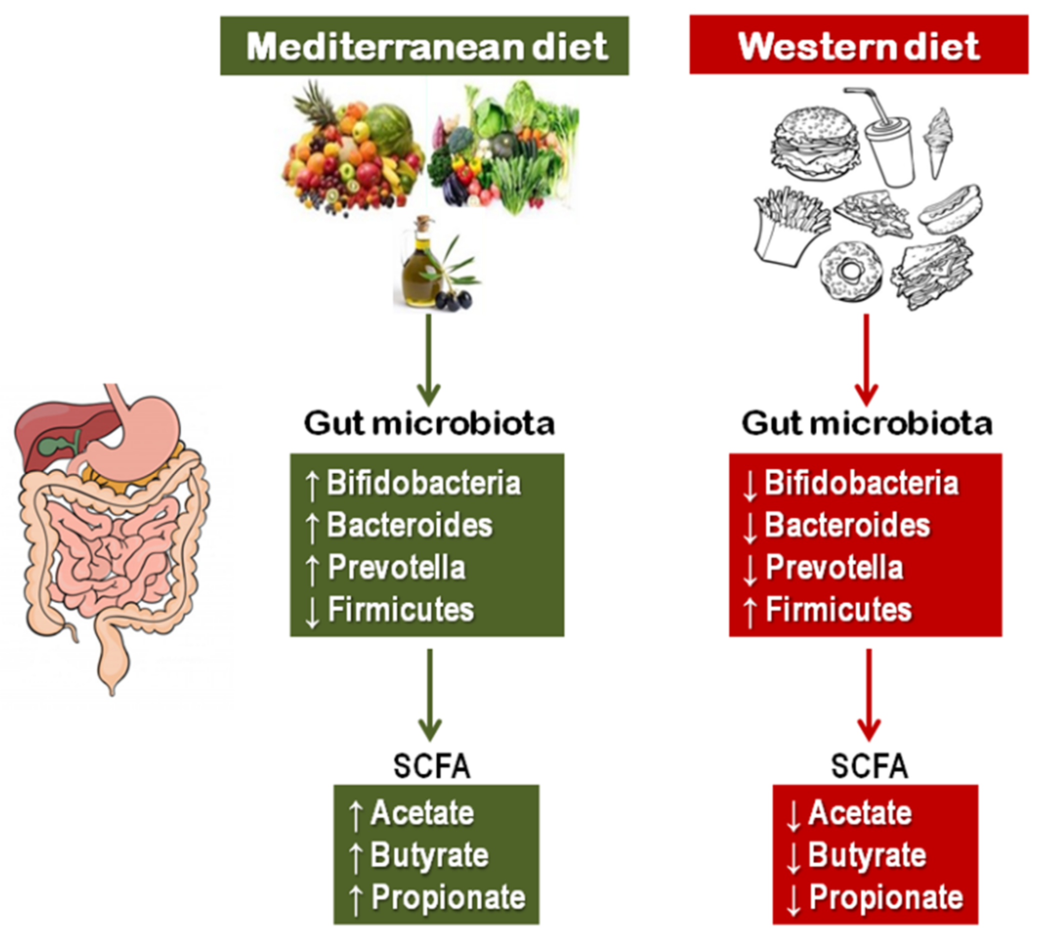 Nutrients 13 02028 g002
