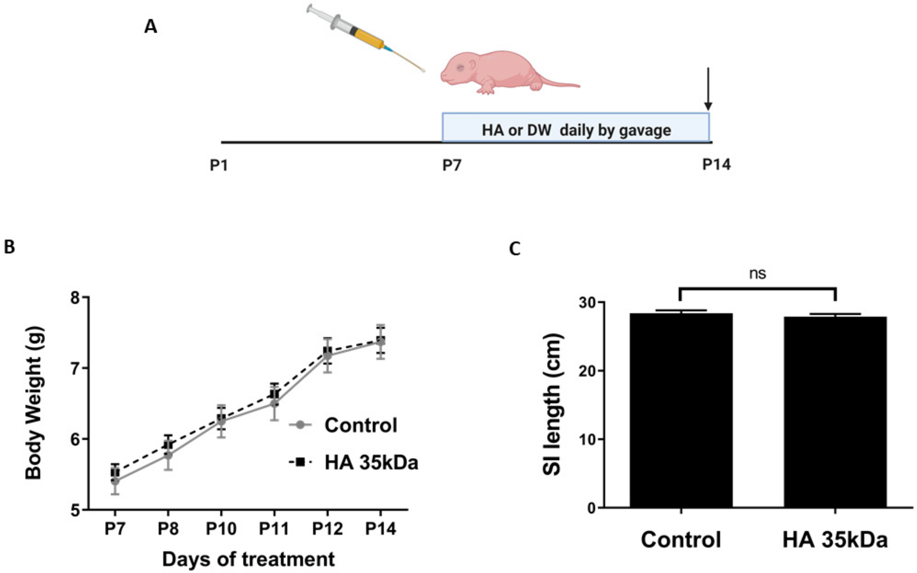 Nutrients 13 02030 g001 Nutrients 13 02030 g001