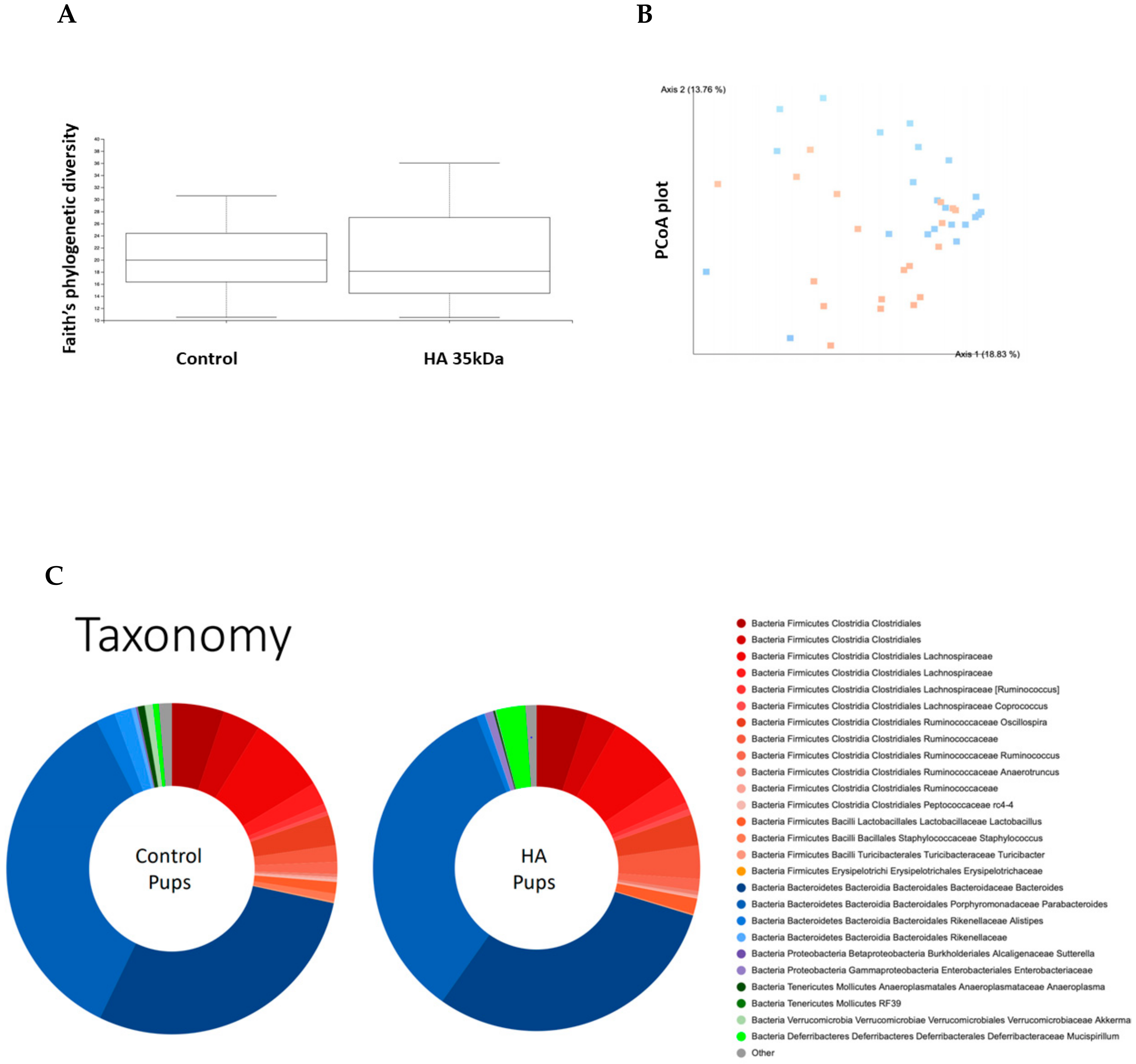 Nutrients 13 02030 g004 Nutrients 13 02030 g004