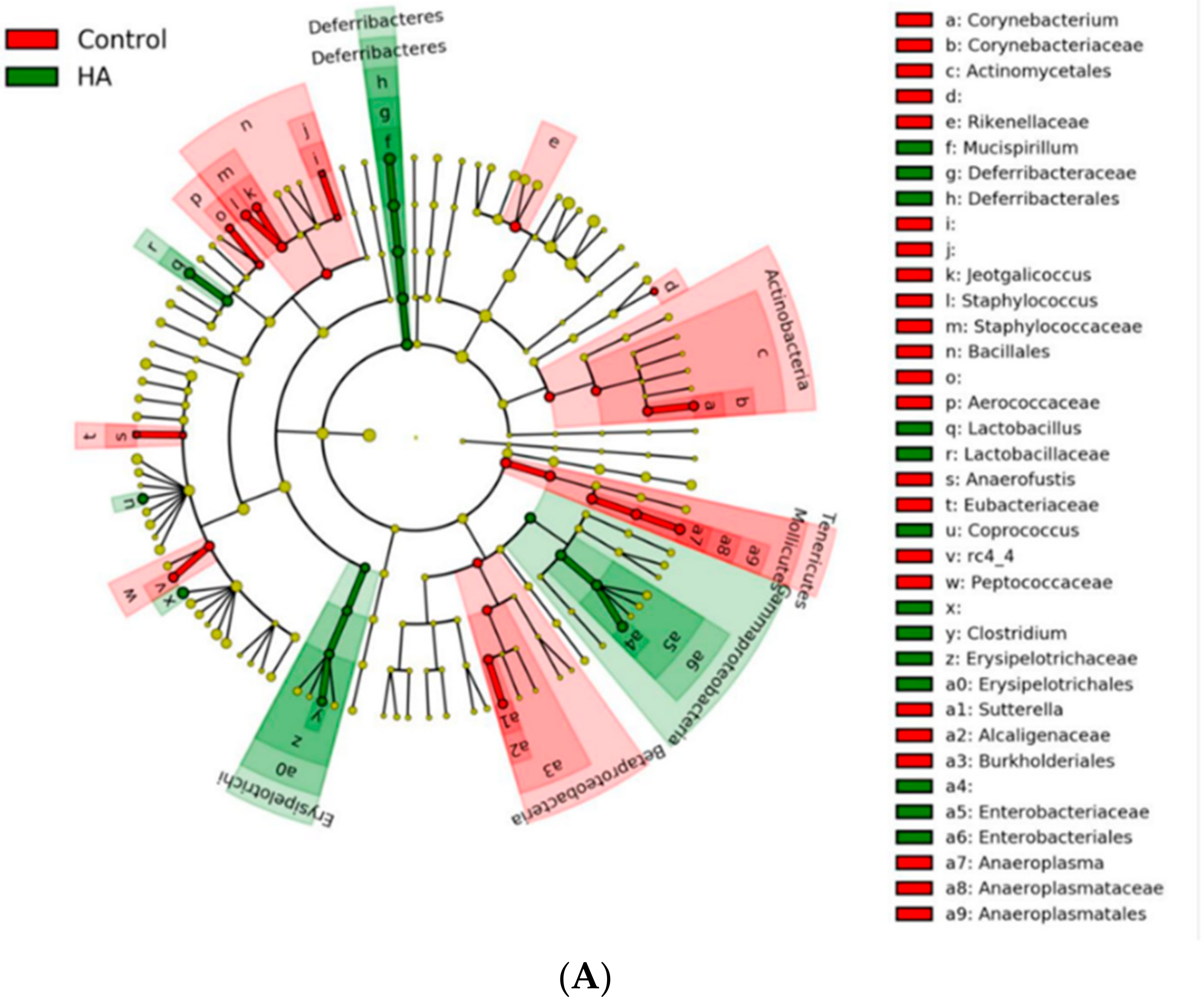 Nutrients 13 02030 g005a Nutrients 13 02030 g005a