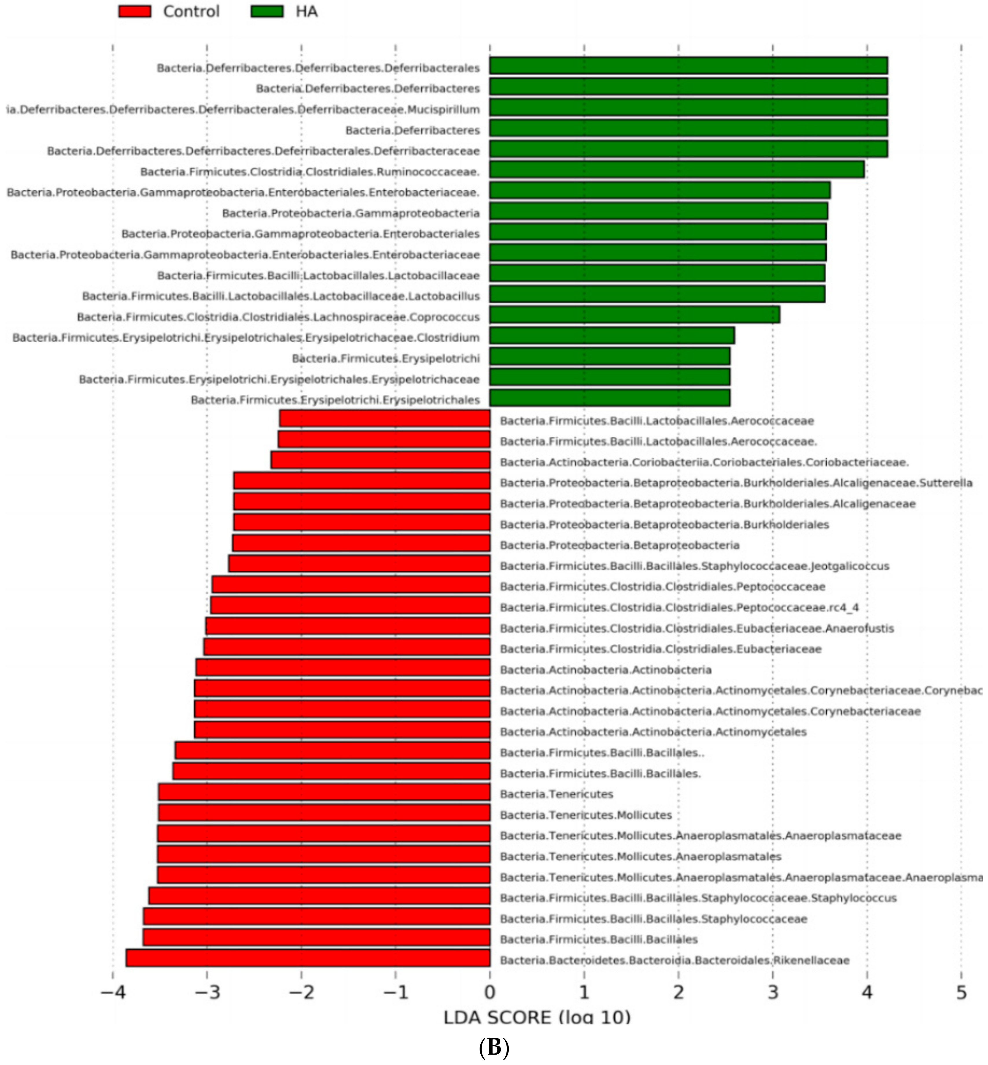 Nutrients 13 02030 g005b Nutrients 13 02030 g005b