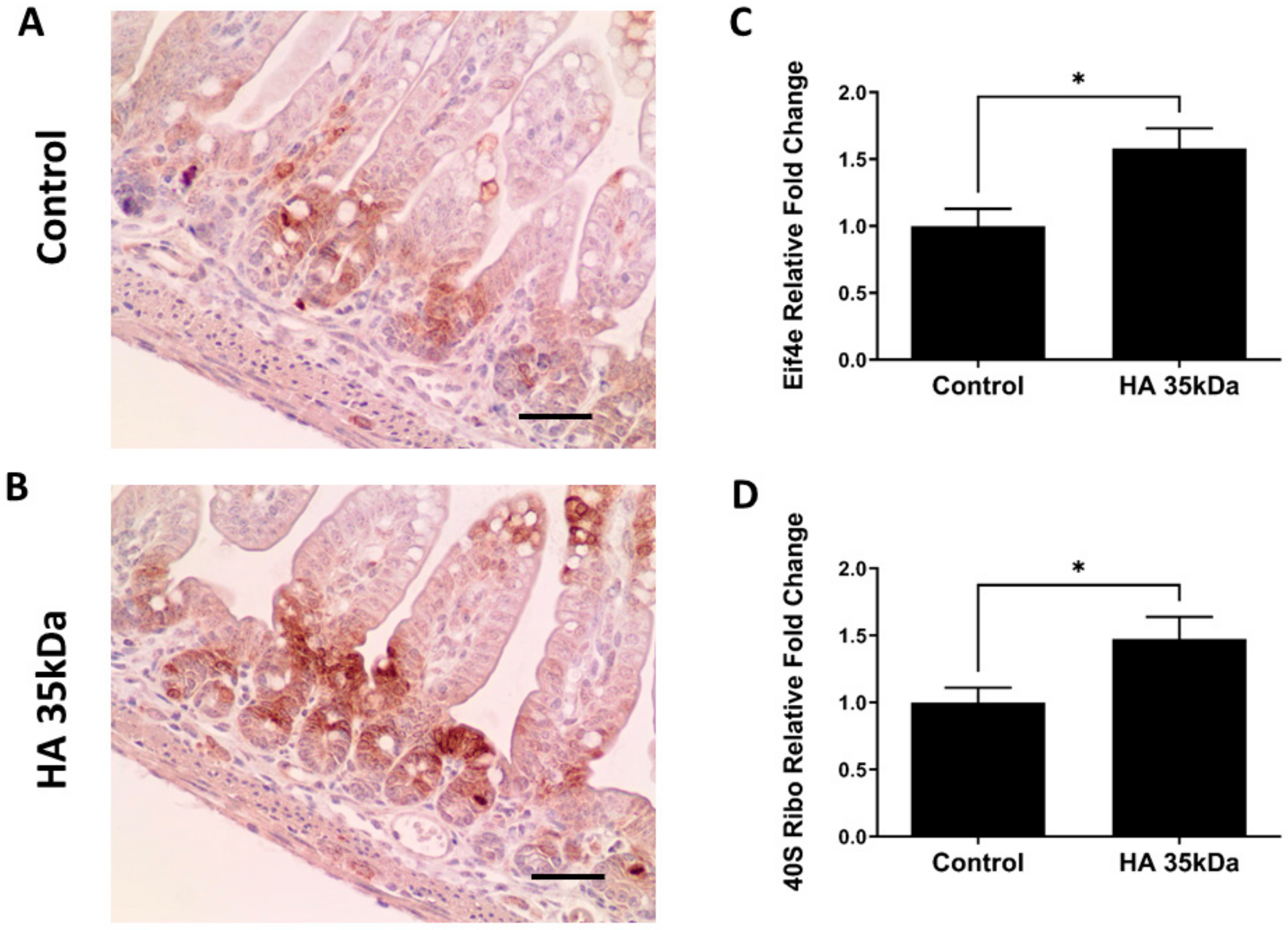Nutrients 13 02030 g009 Nutrients 13 02030 g009