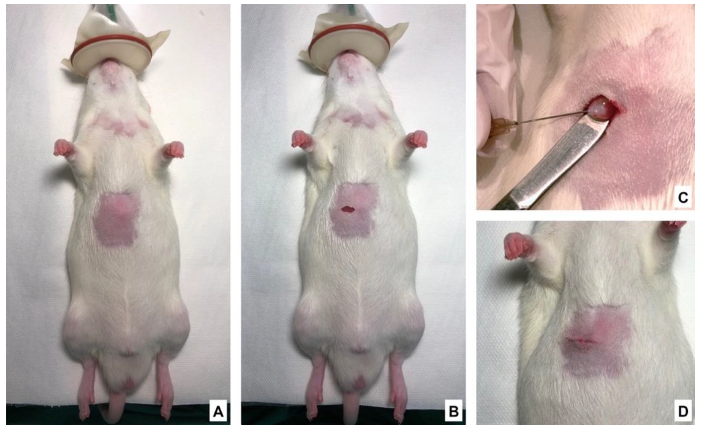 Nutrients 13 02035 g002