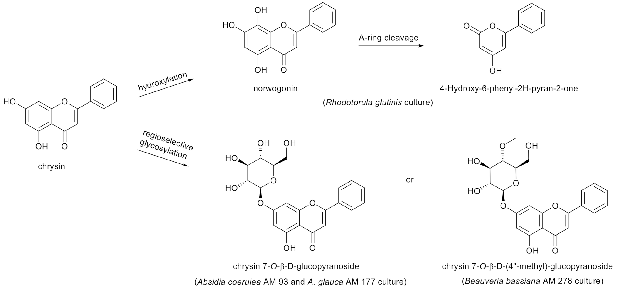 Nutrients 13 02038 g002