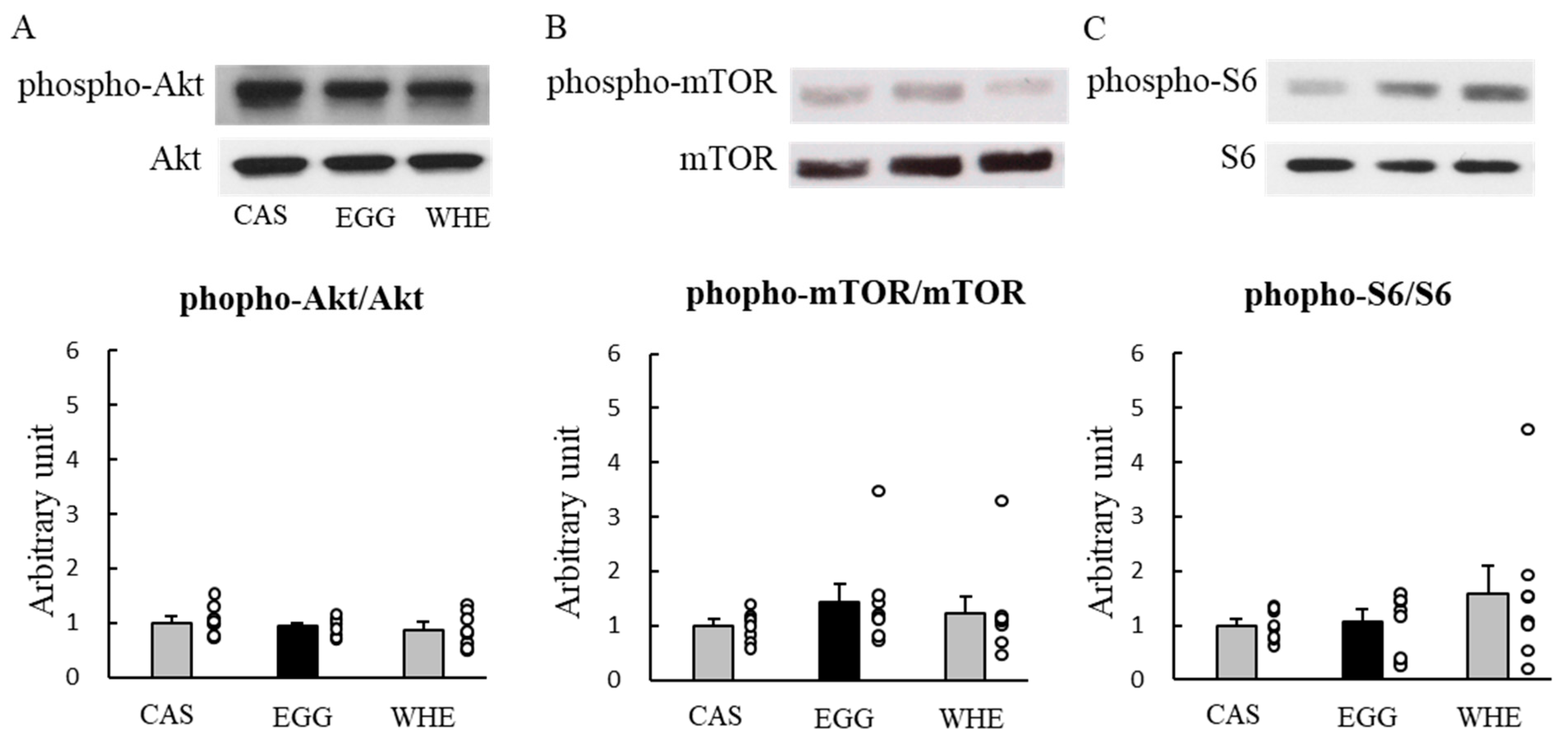 Nutrients 13 02042 g006