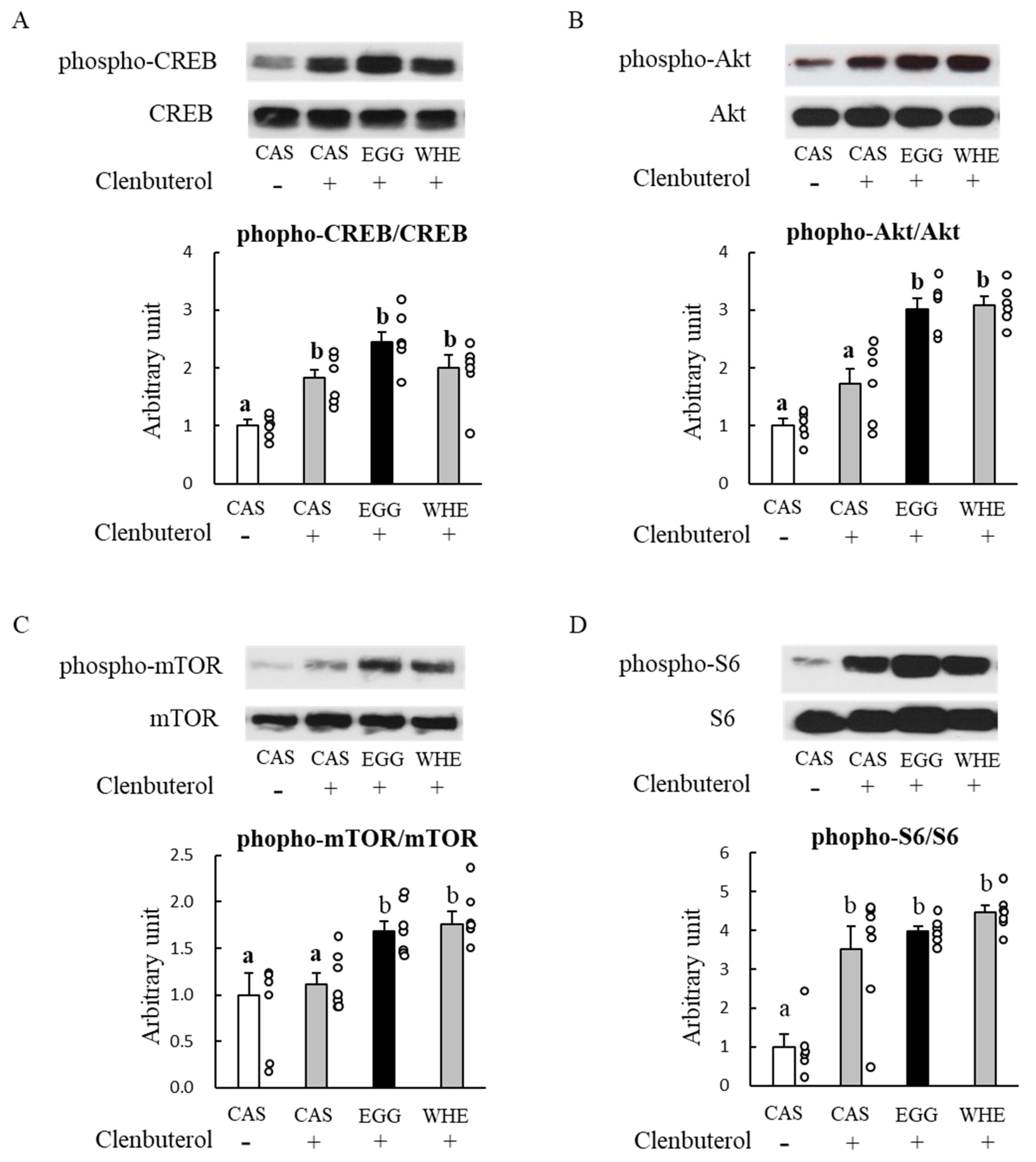 Nutrients 13 02042 g009