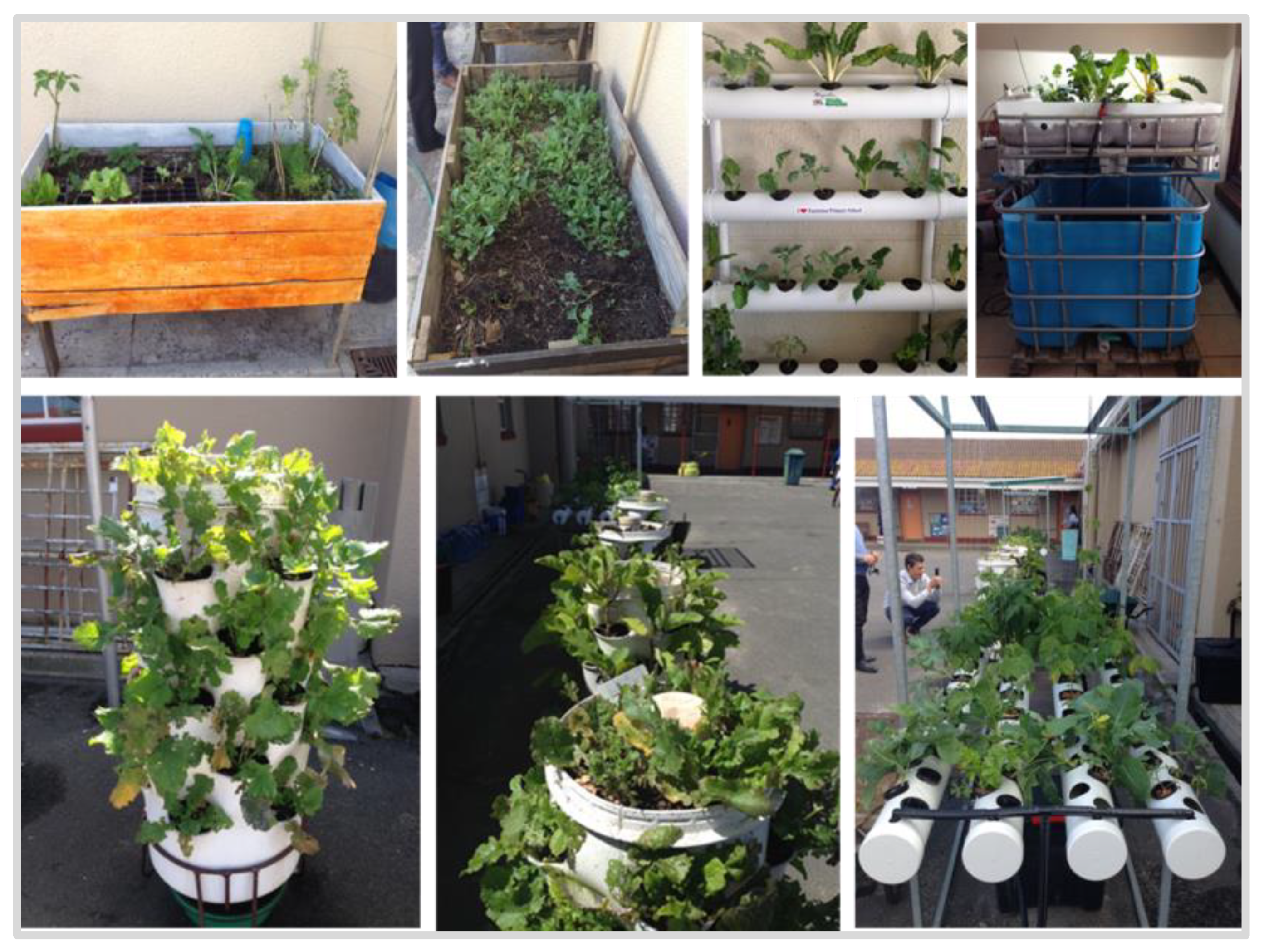 Nutrients 13 02043 g001 Nutrients 13 02043 g001