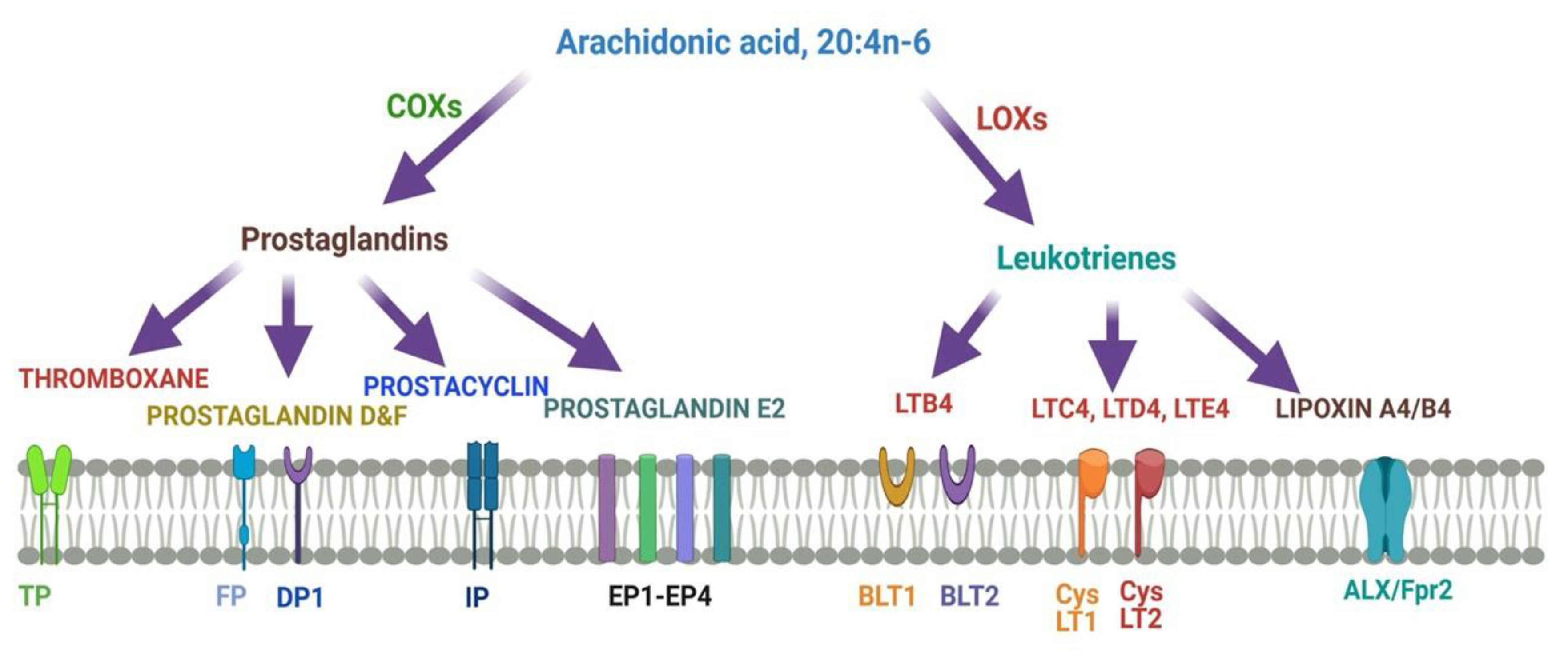Nutrients 13 02061 g004