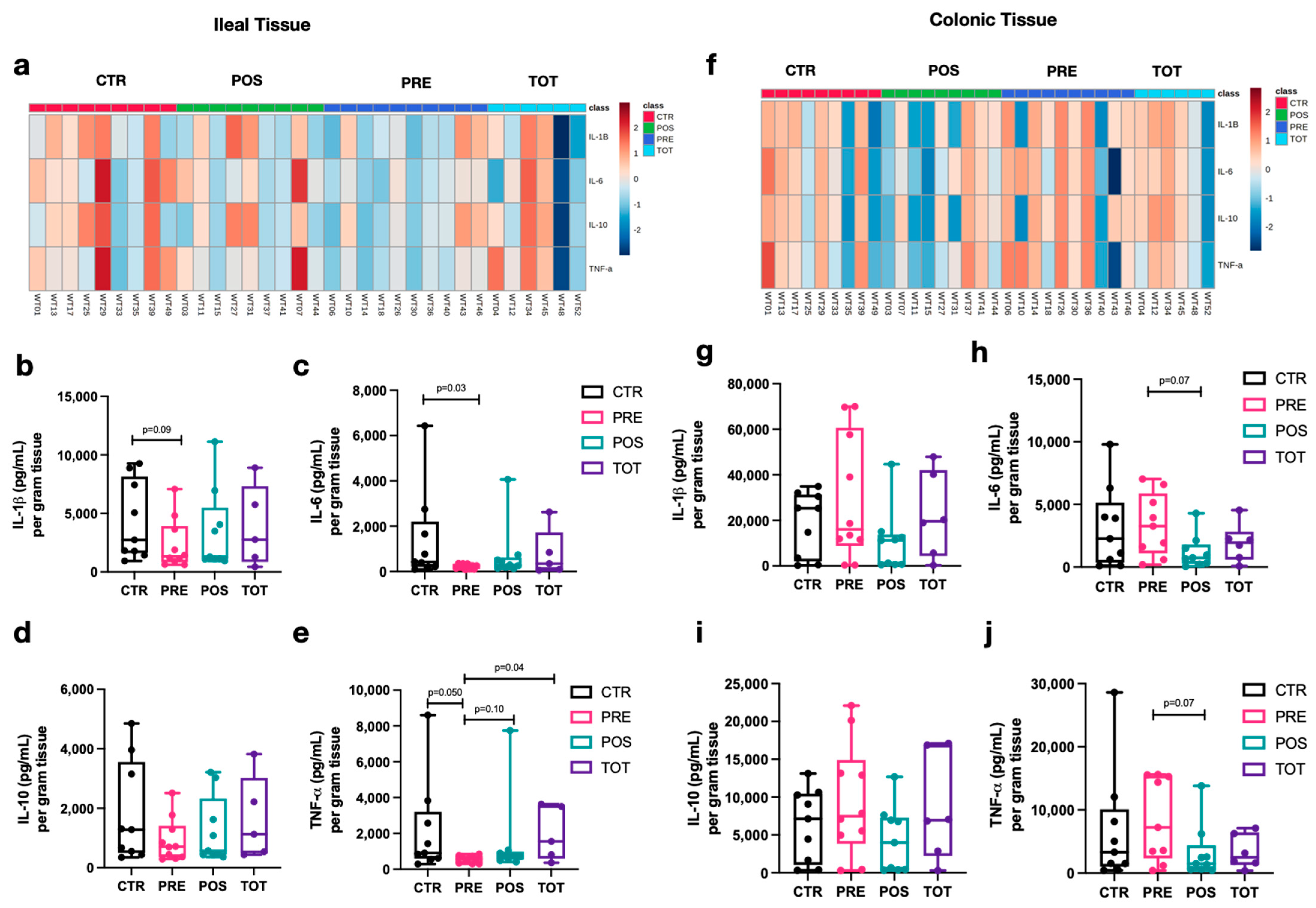 Nutrients 13 02069 g005 Nutrients 13 02069 g005