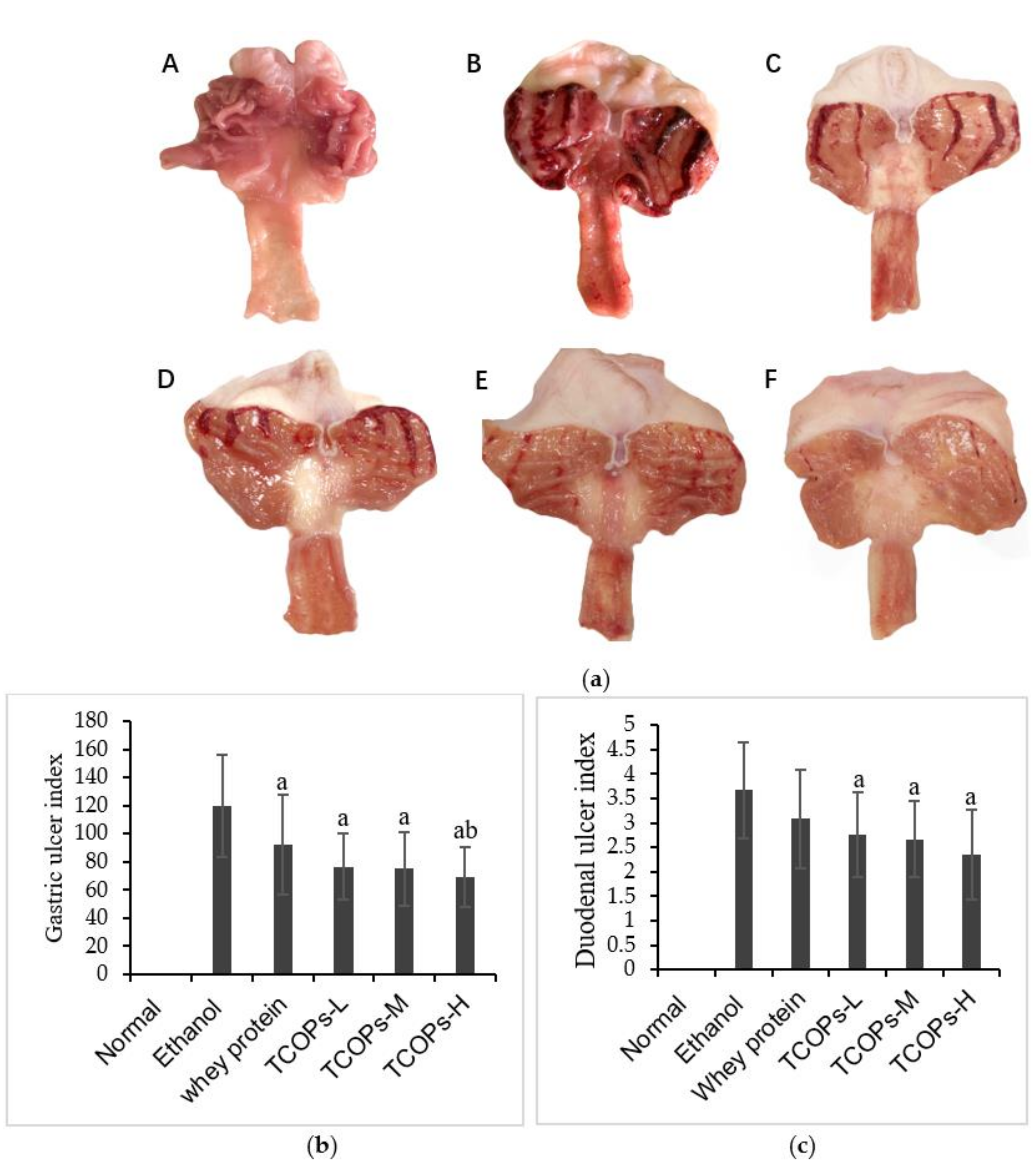 Nutrients 13 02078 g001