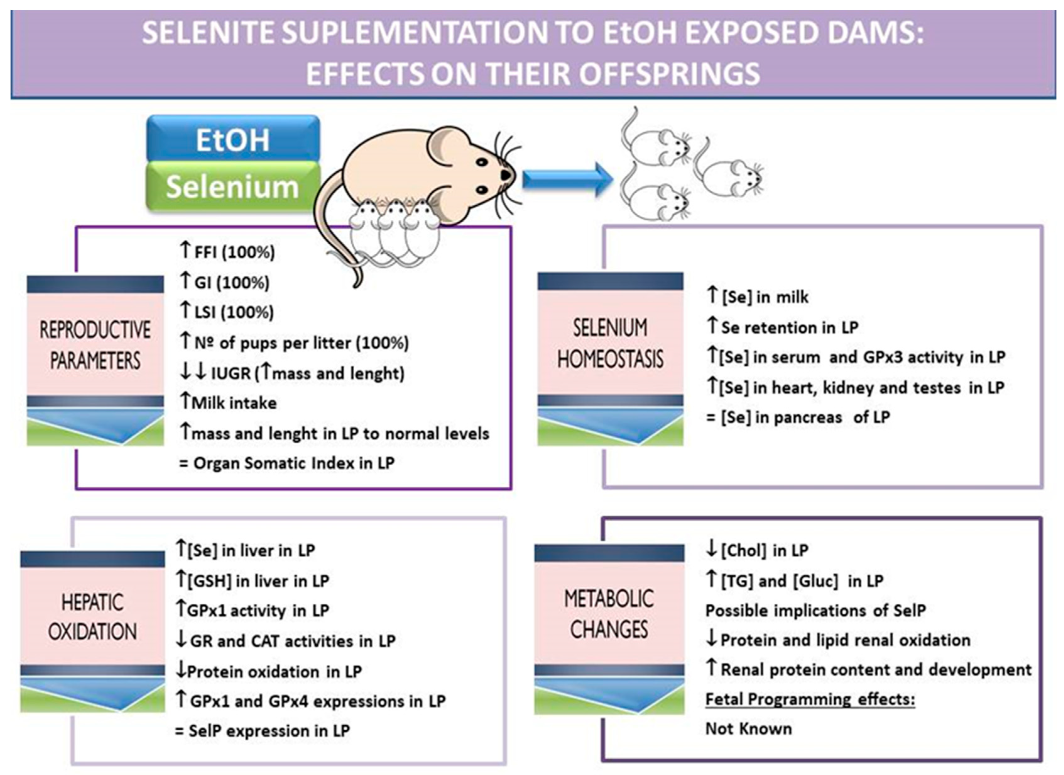 Nutrients 13 02085 g003