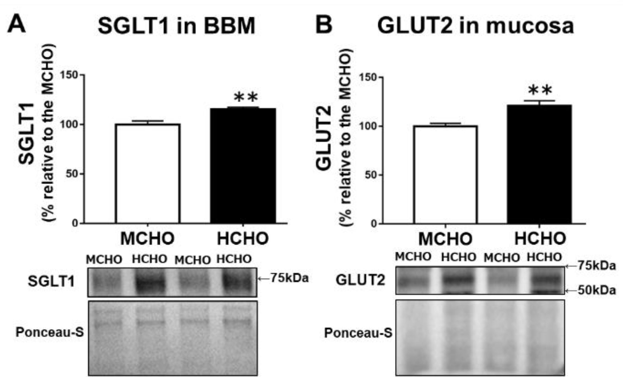 Nutrients 13 02140 g002