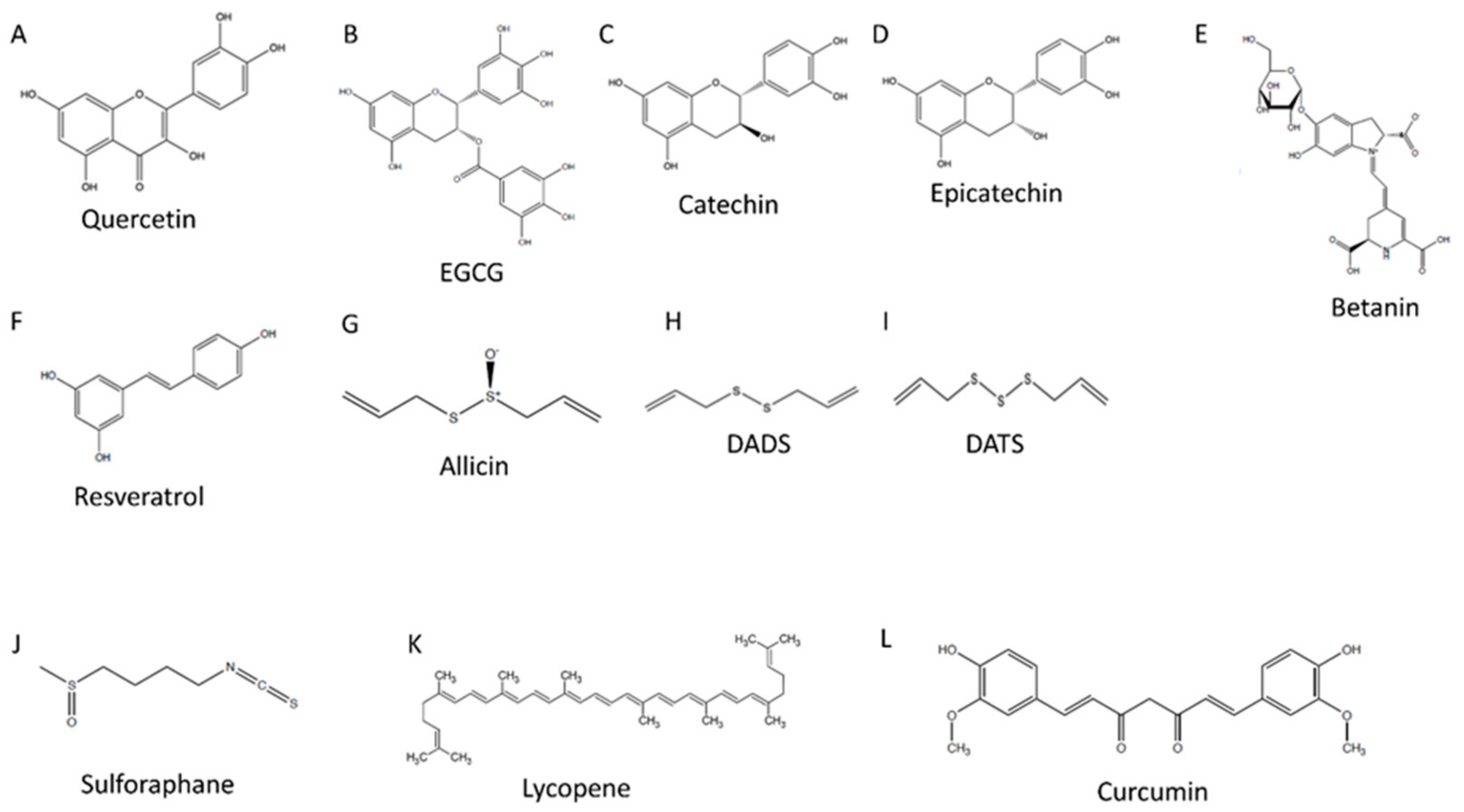 Nutrients 13 02143 g001