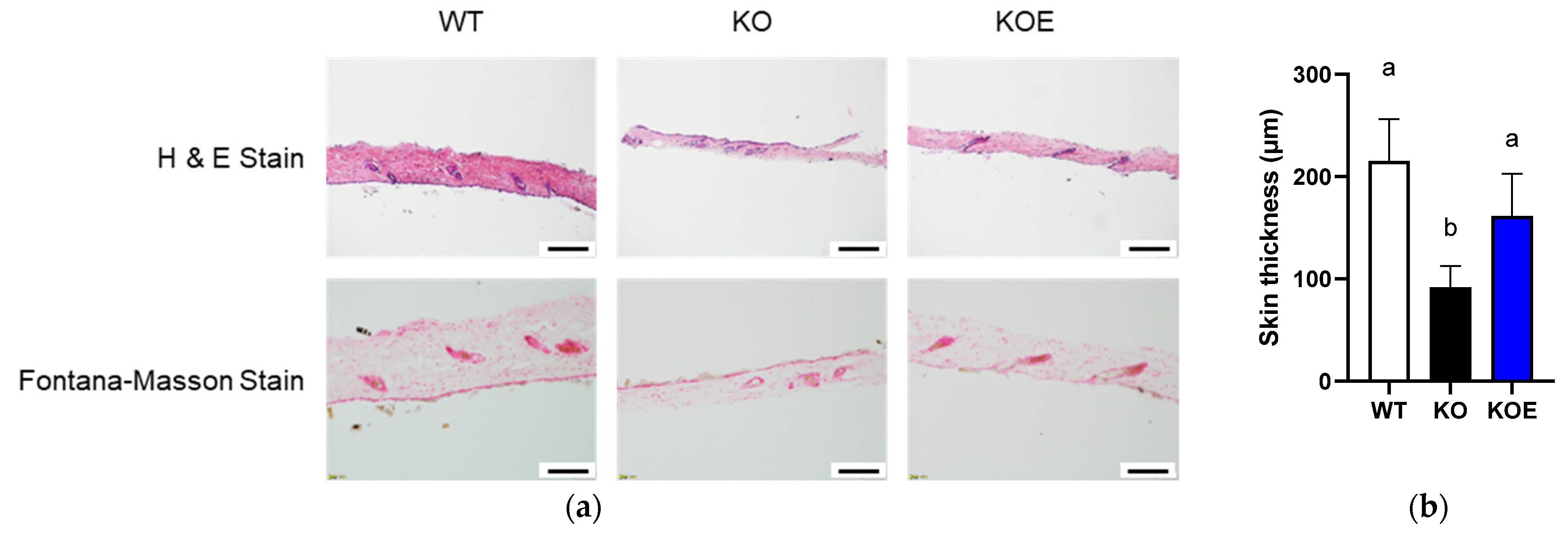 Nutrients 13 02144 g003