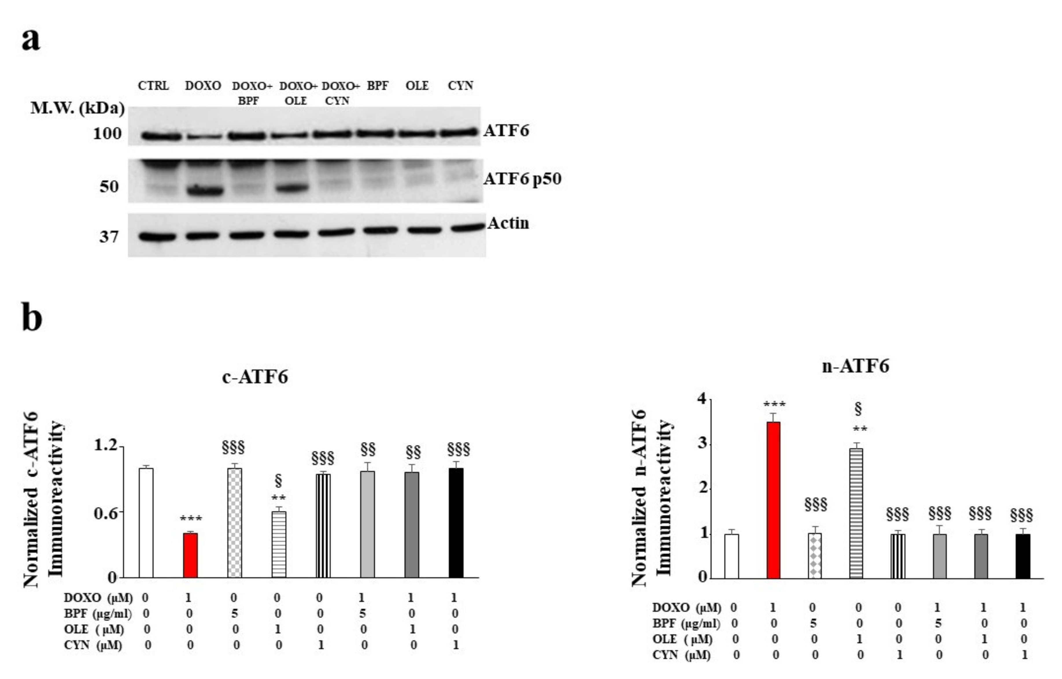 Nutrients 13 02158 g003