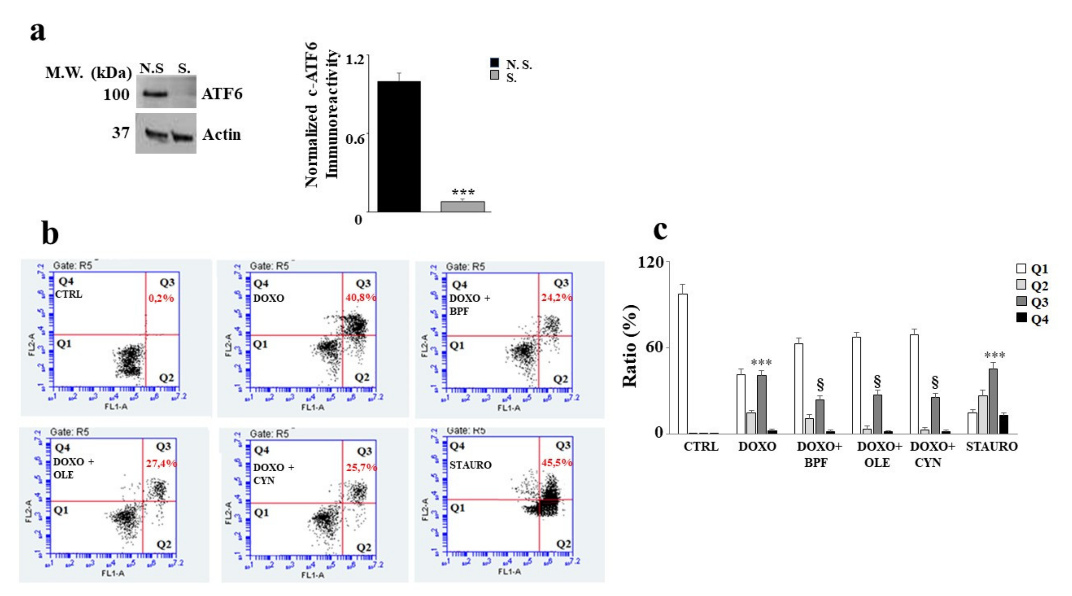 Nutrients 13 02158 g006