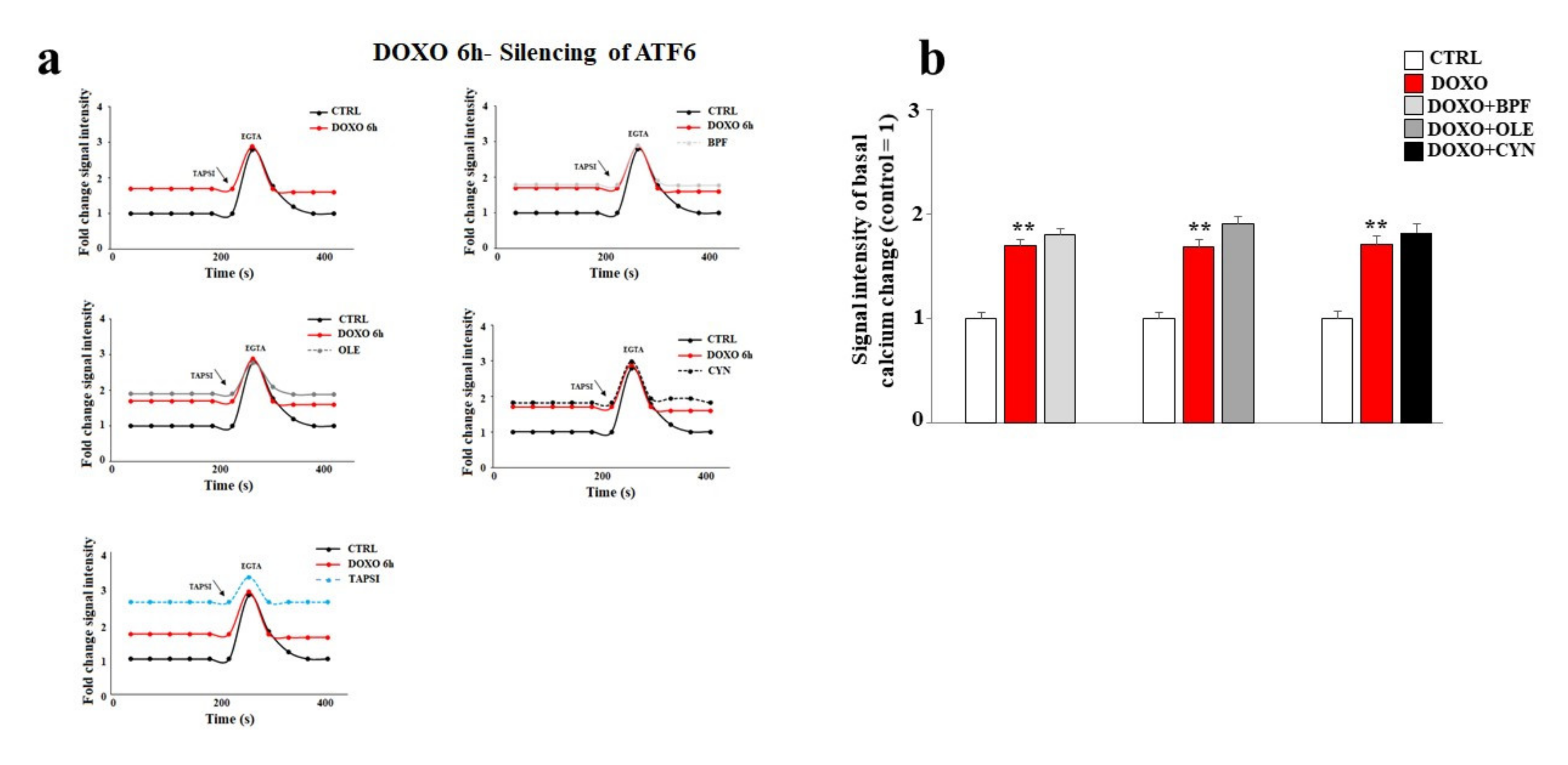Nutrients 13 02158 g008