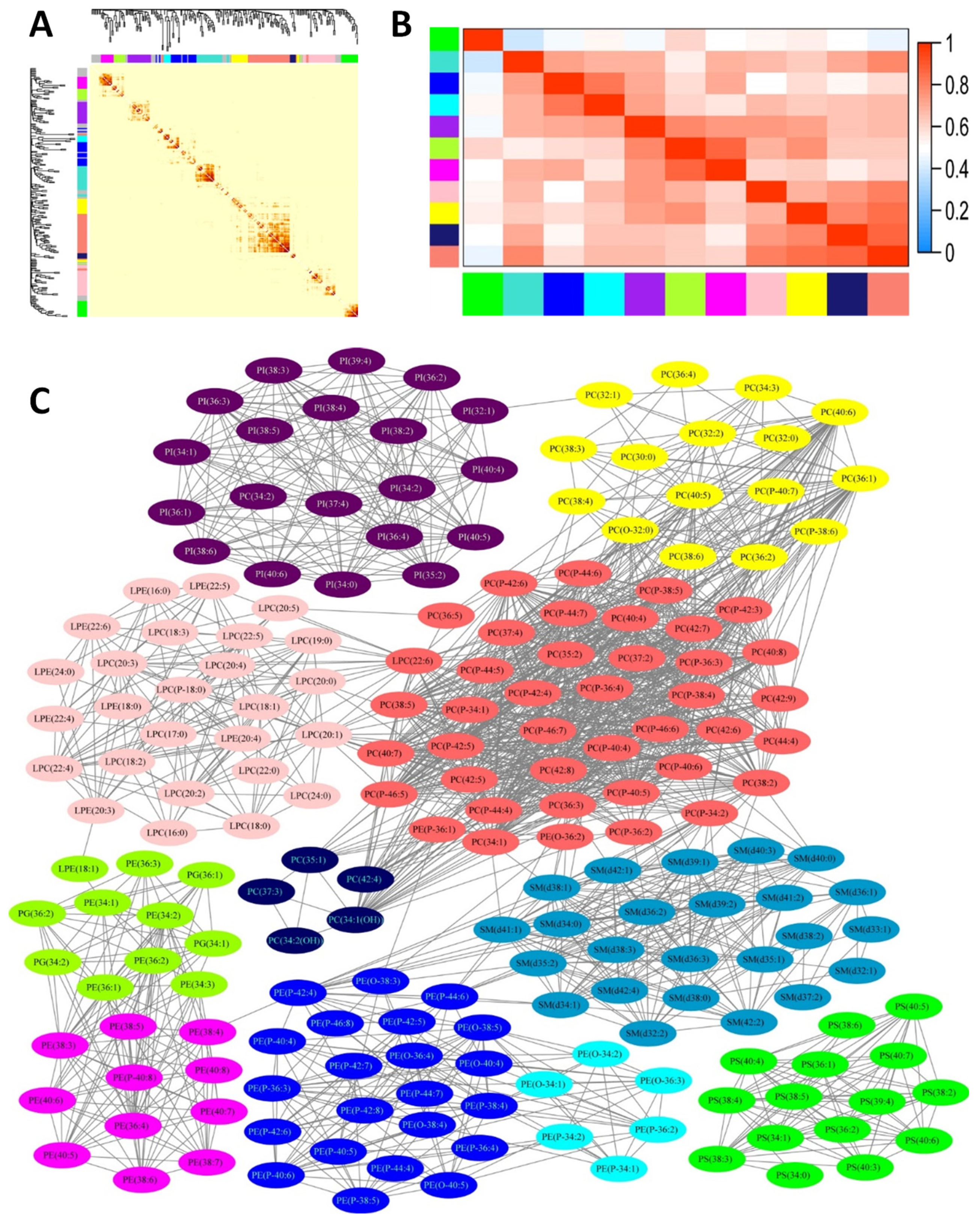 Nutrients 13 02185 g001