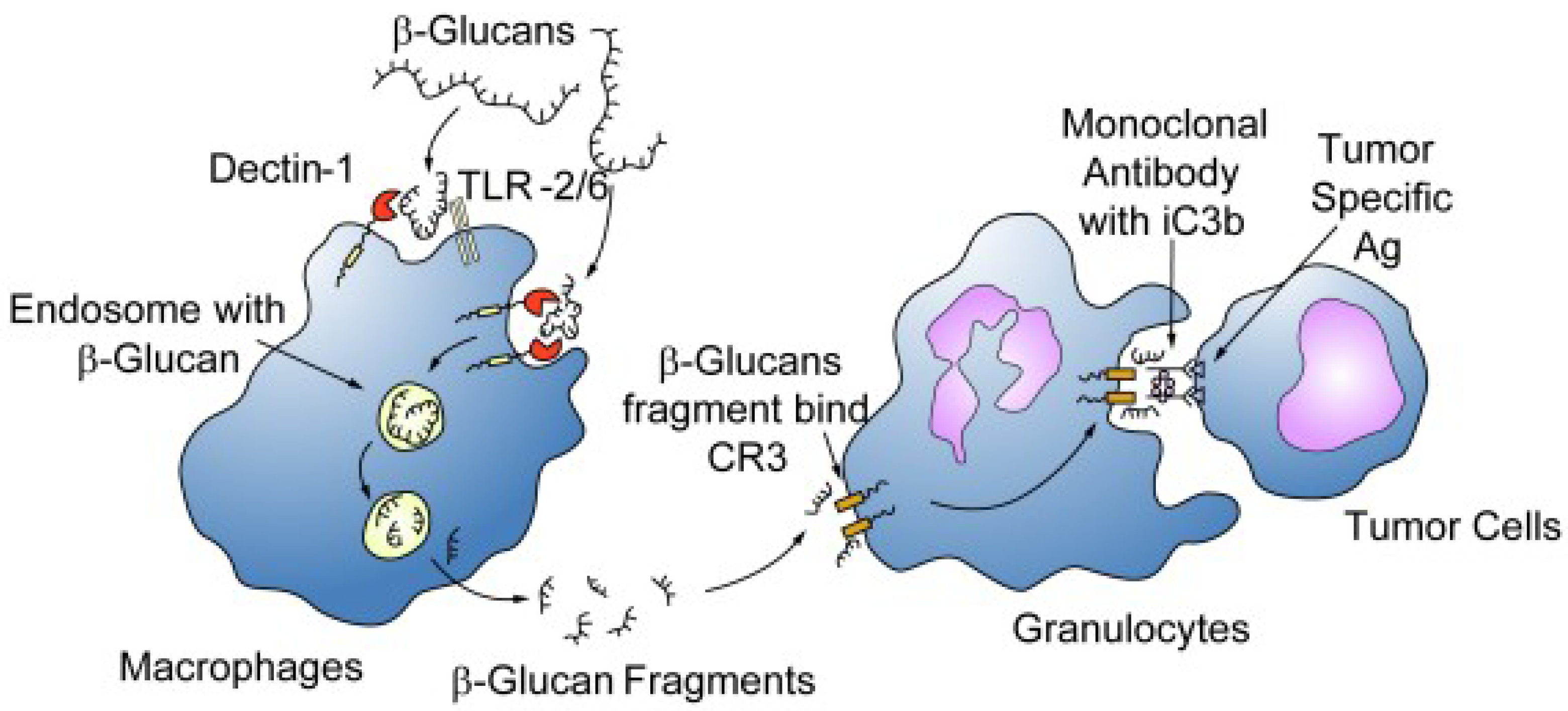 Nutrients 13 02195 g002 Nutrients 13 02195 g002