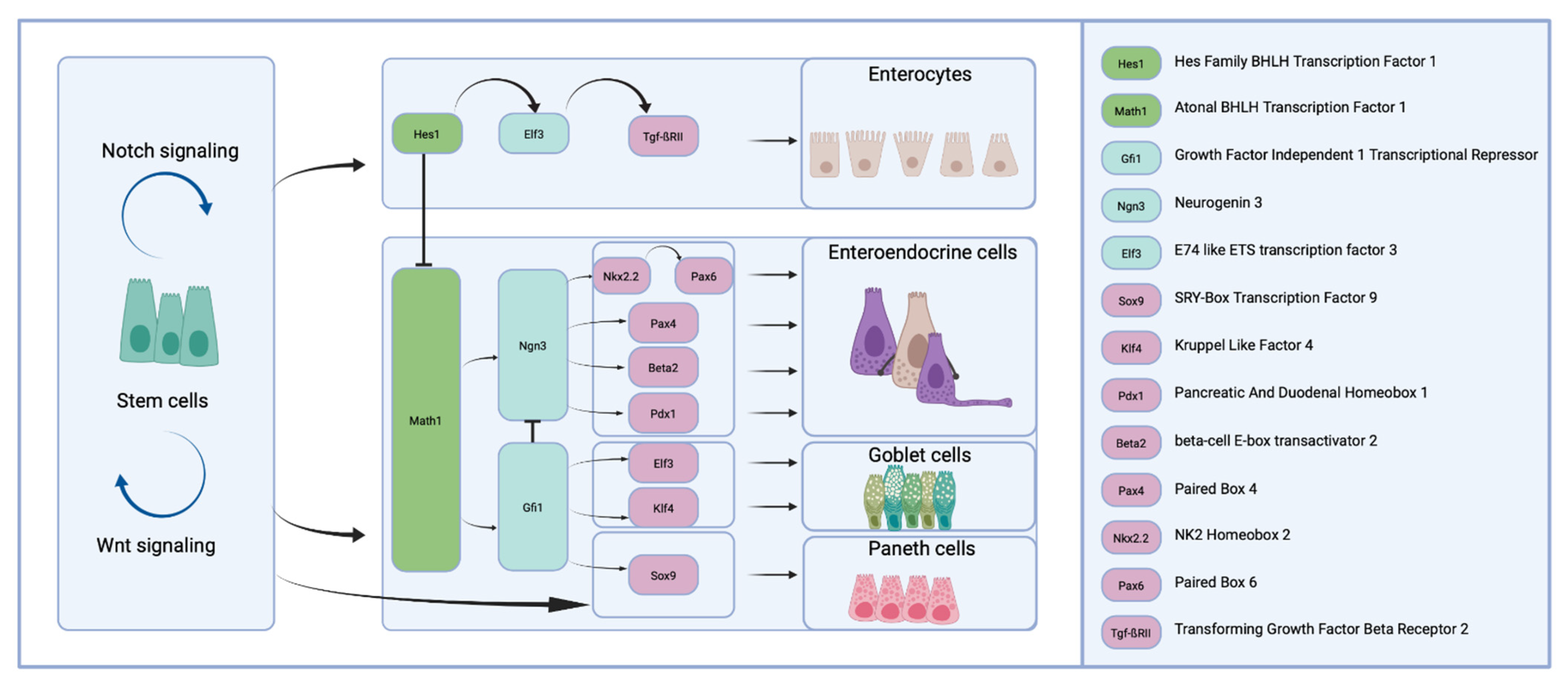 Nutrients 13 02198 g002