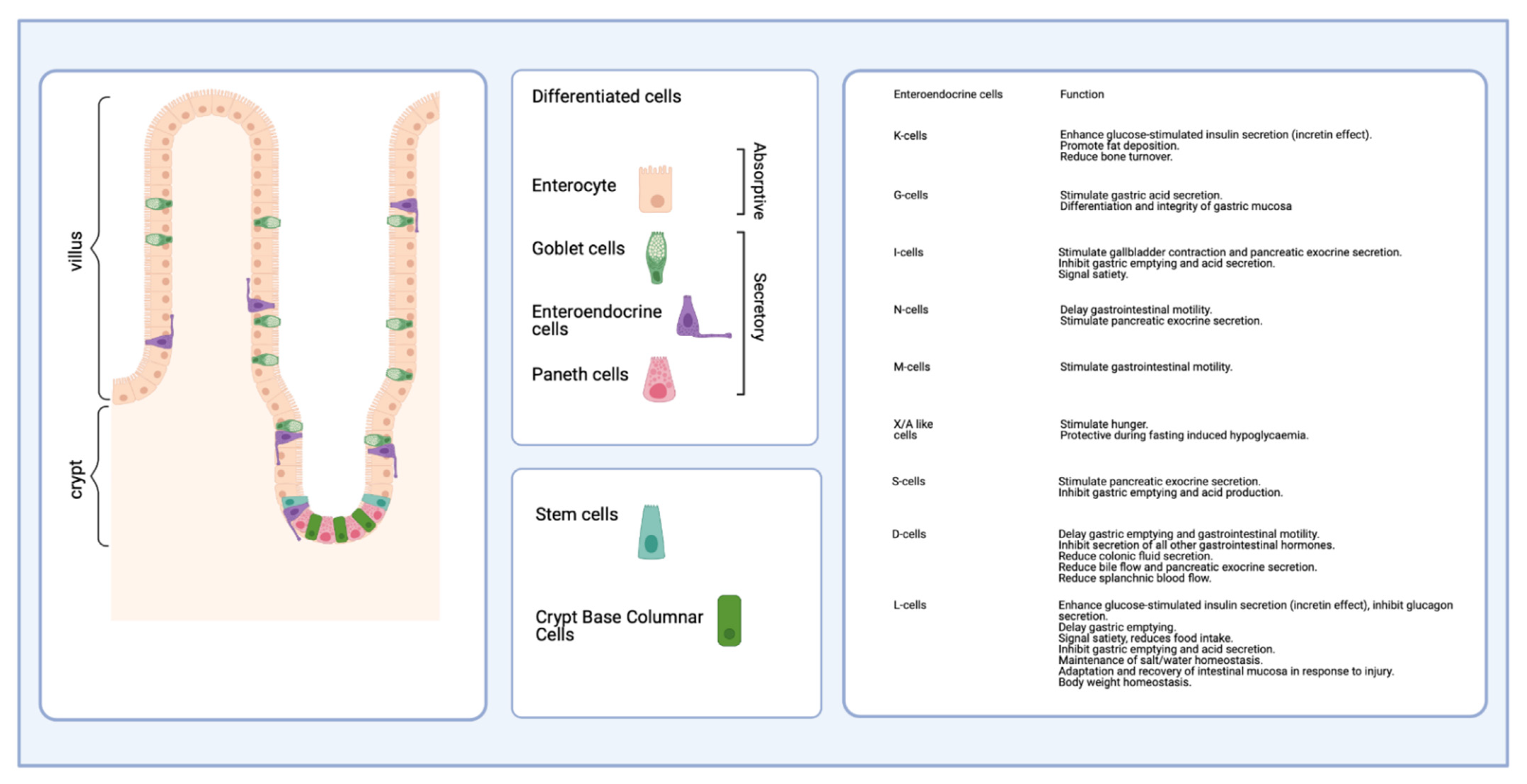 Nutrients 13 02198 g003