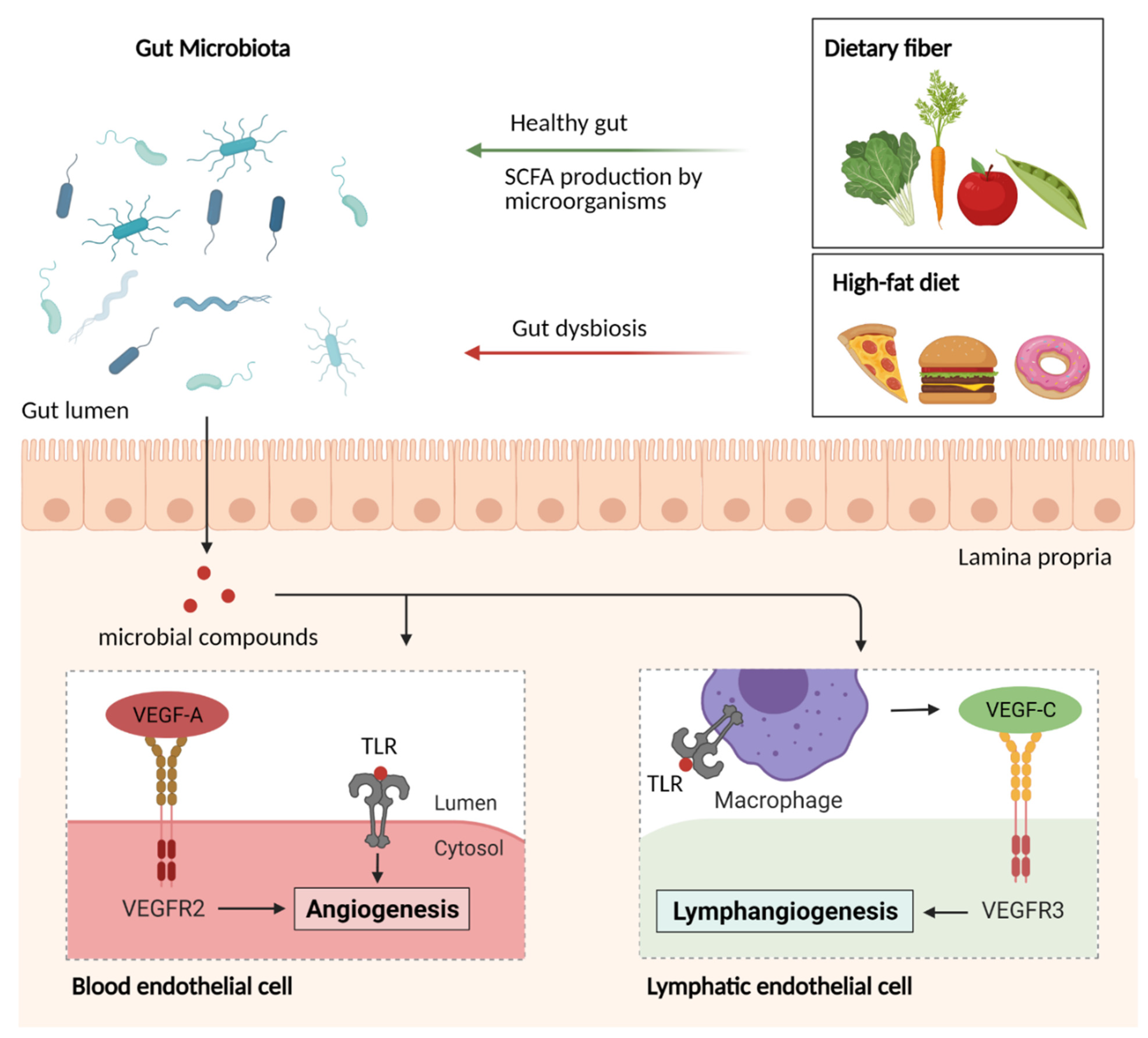 Nutrients 13 02198 g004