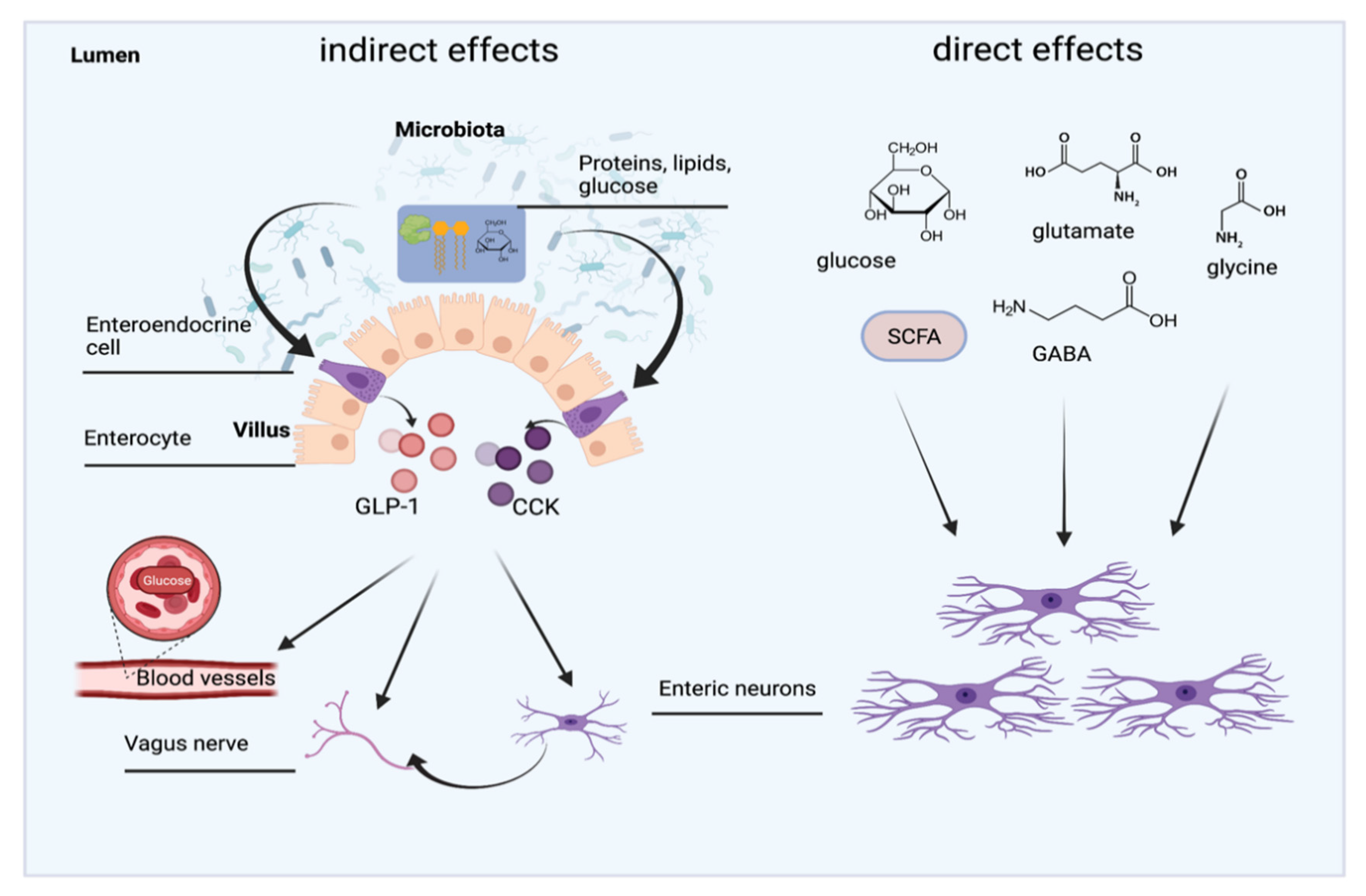 Nutrients 13 02198 g005