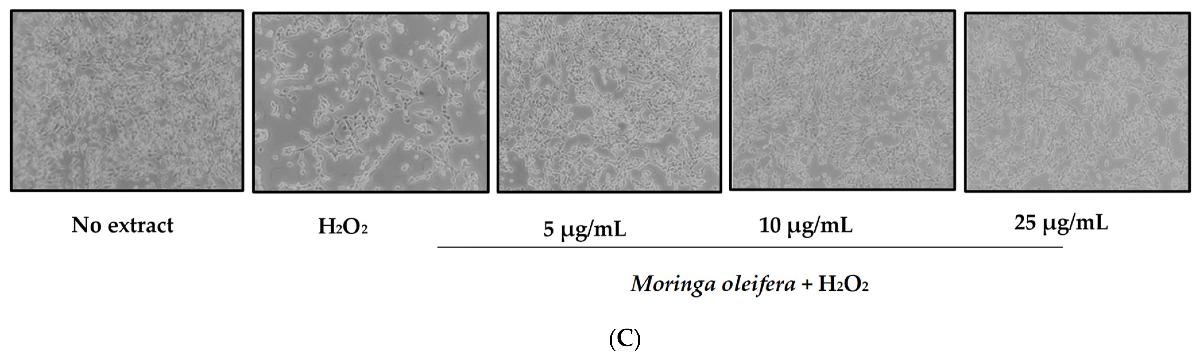 Nutrients 13 02203 g001b