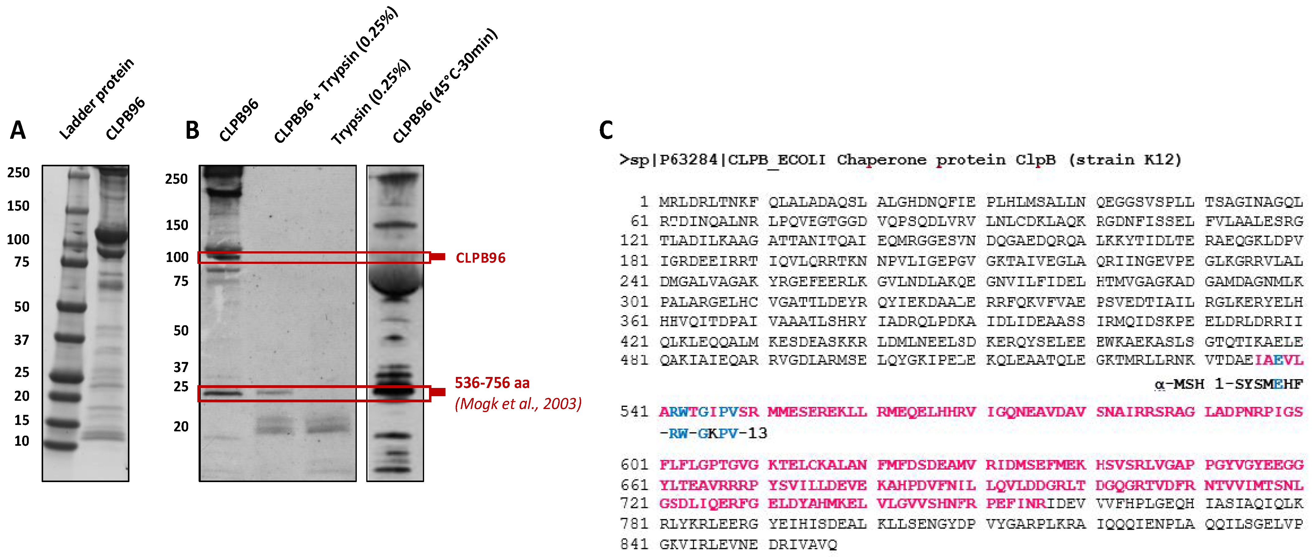 Nutrients 13 02223 g002