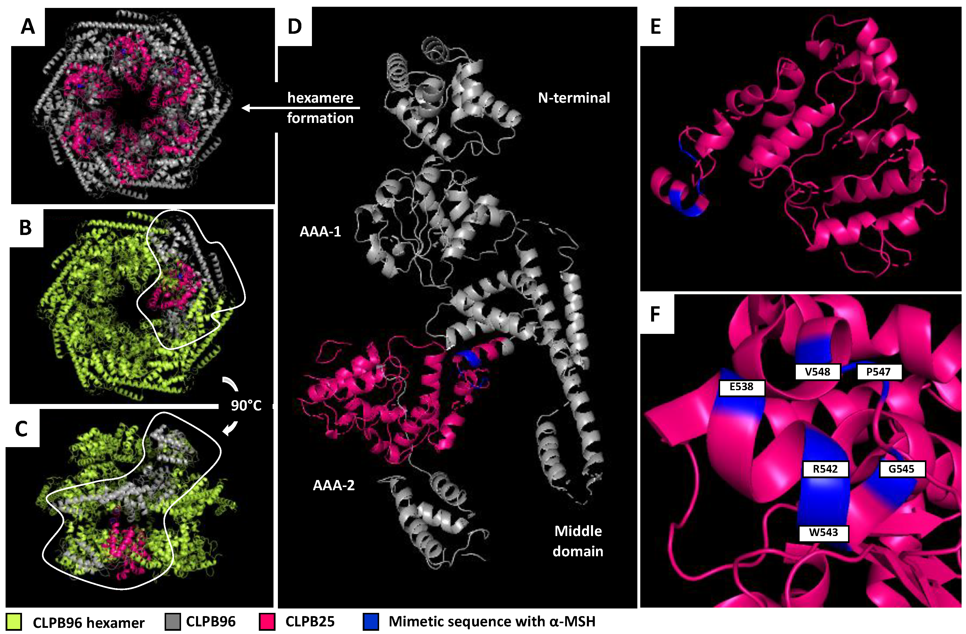 Nutrients 13 02223 g003