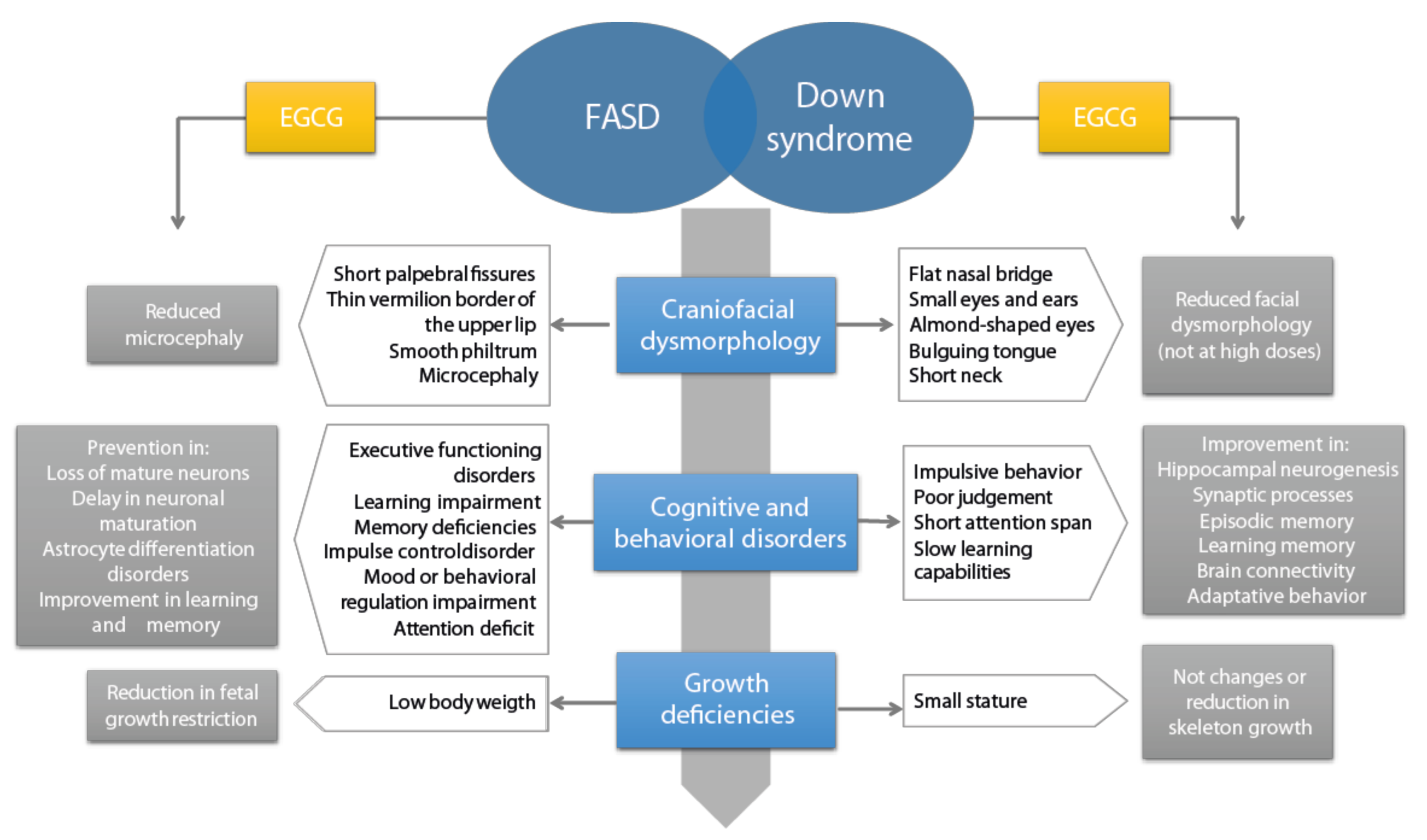 Nutrients 13 02232 g003