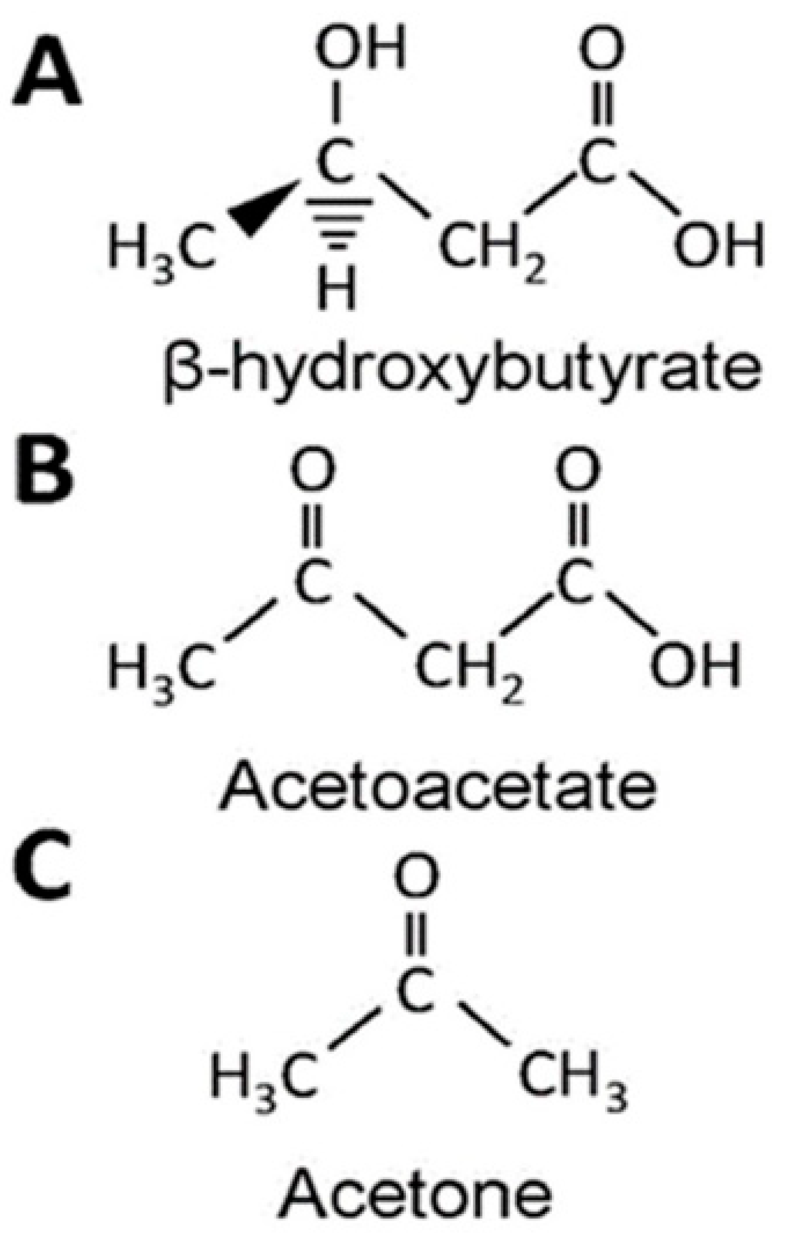 Nutrients 13 02307 g001