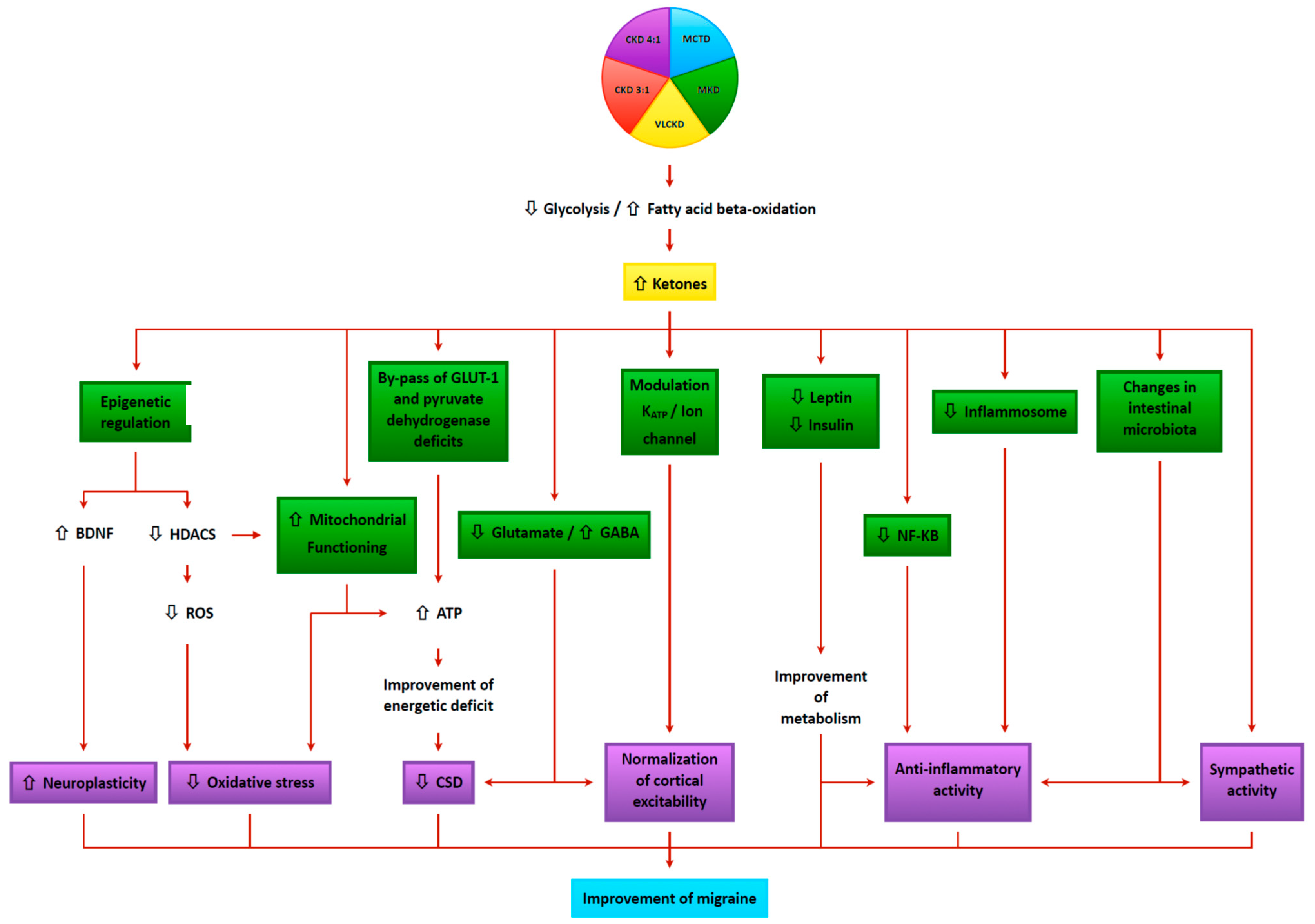 Nutrients 13 02307 g004