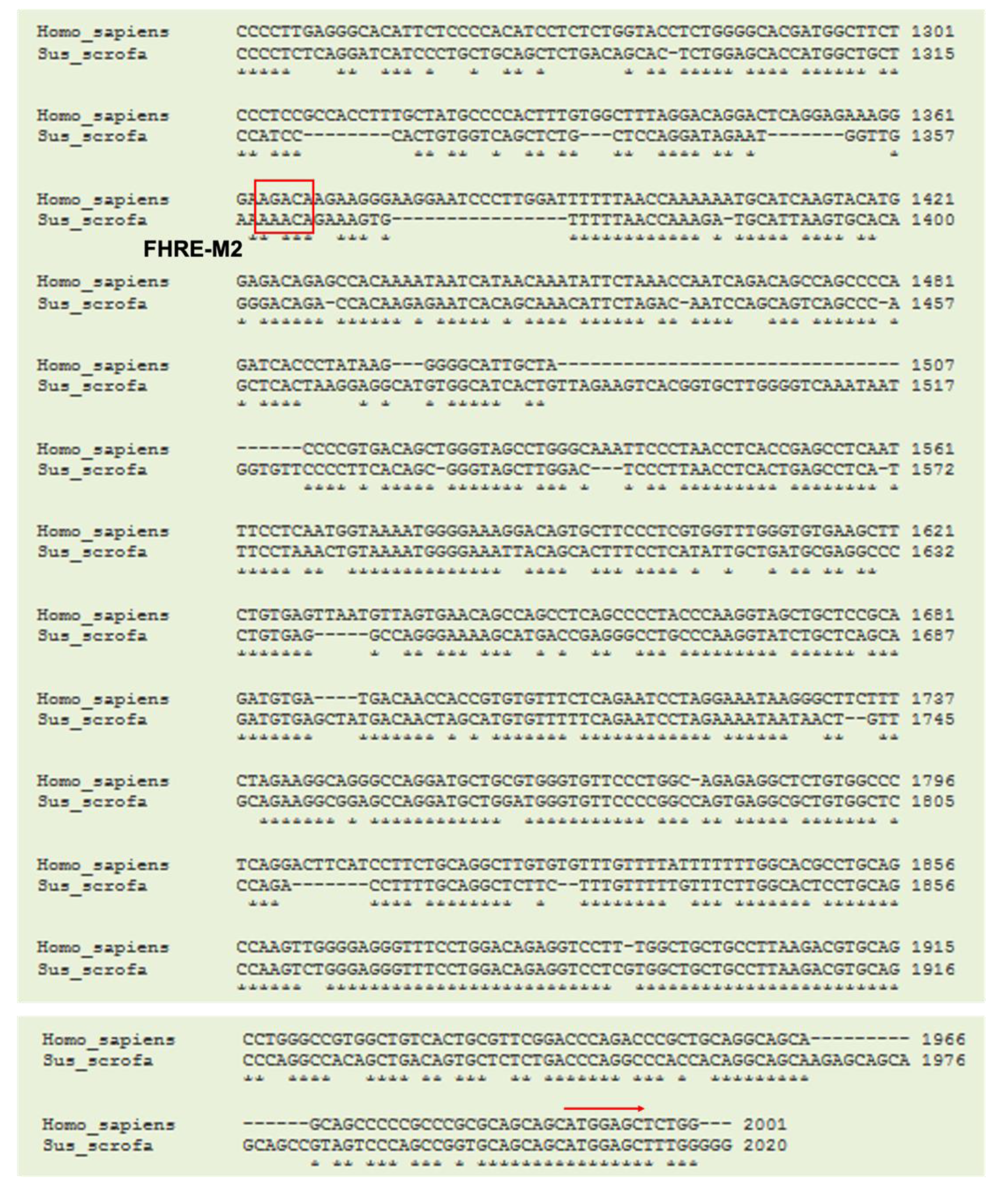 Nutrients 13 02315 g005b