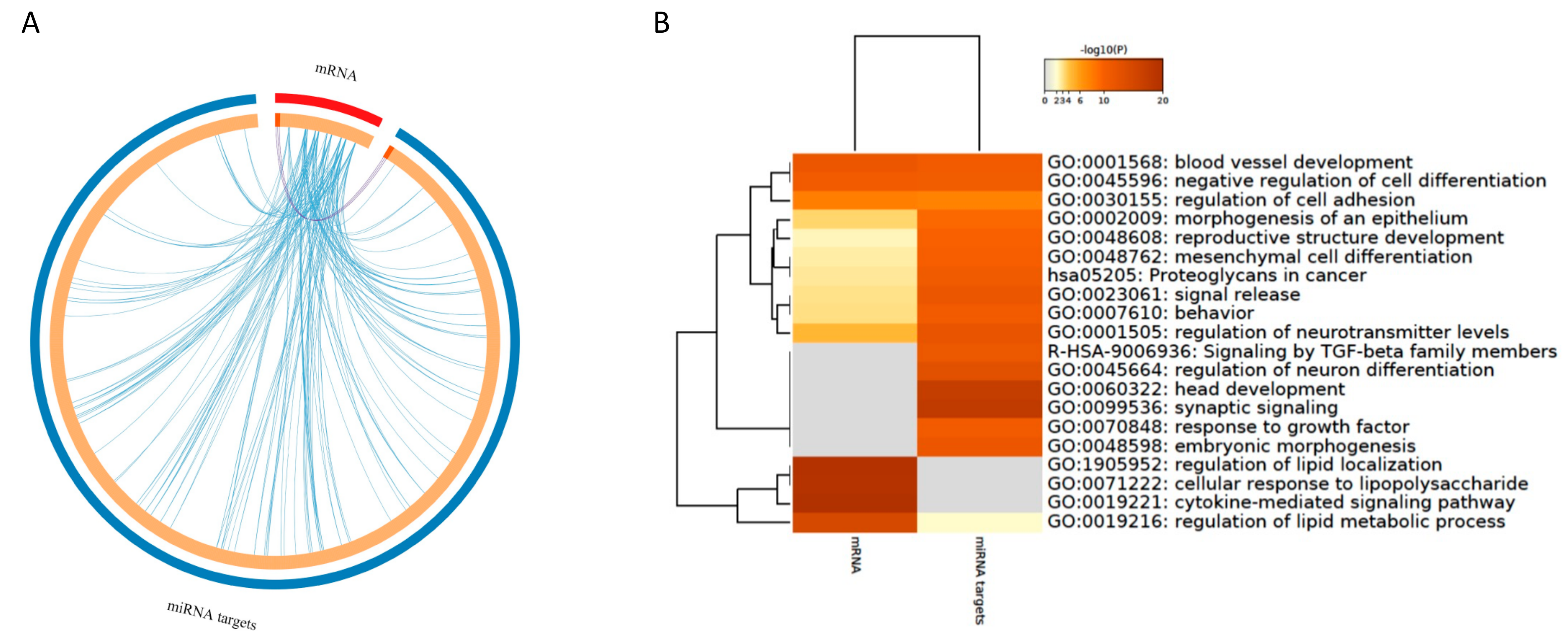 Nutrients 13 02326 g008