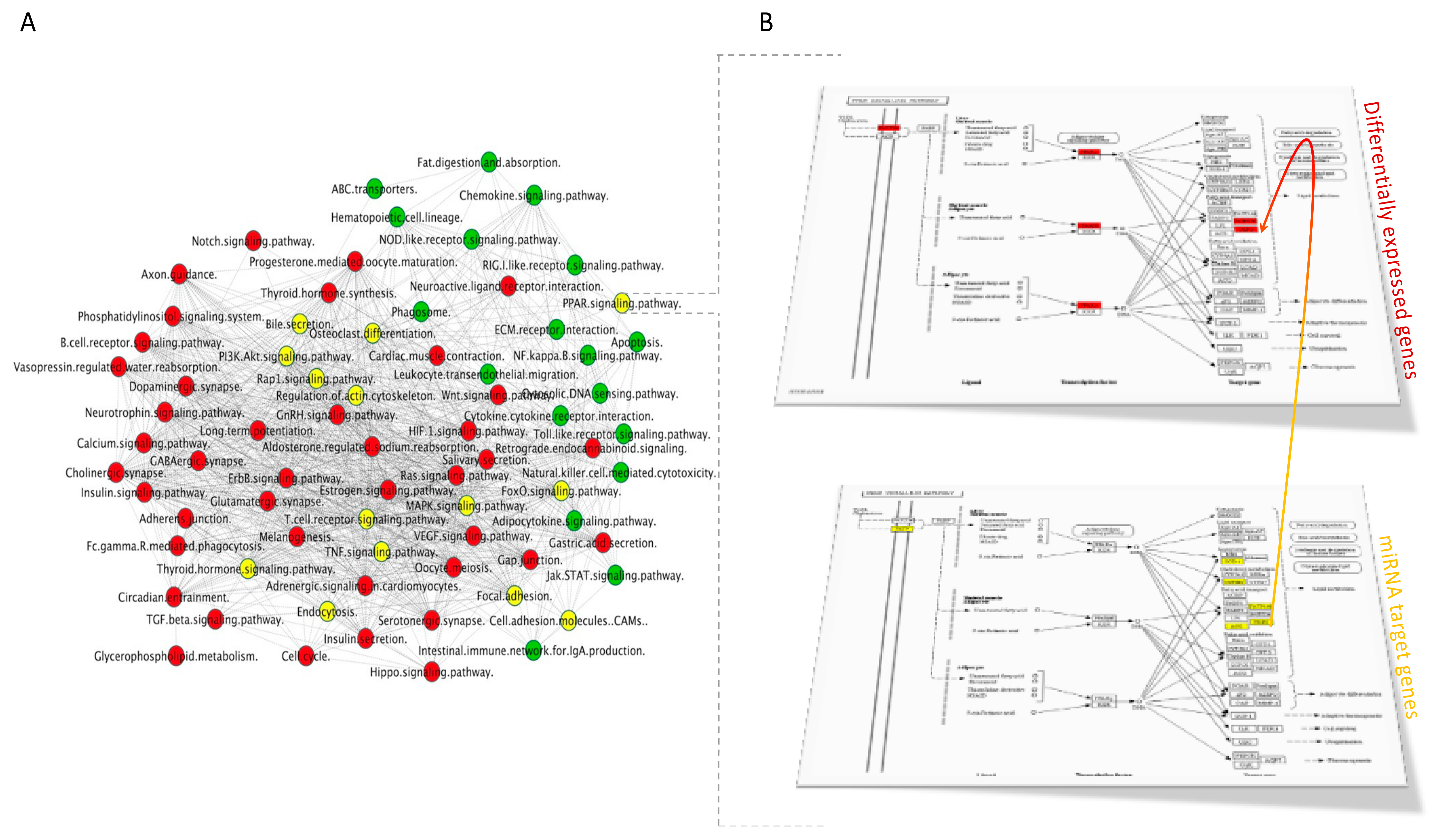 Nutrients 13 02326 g009