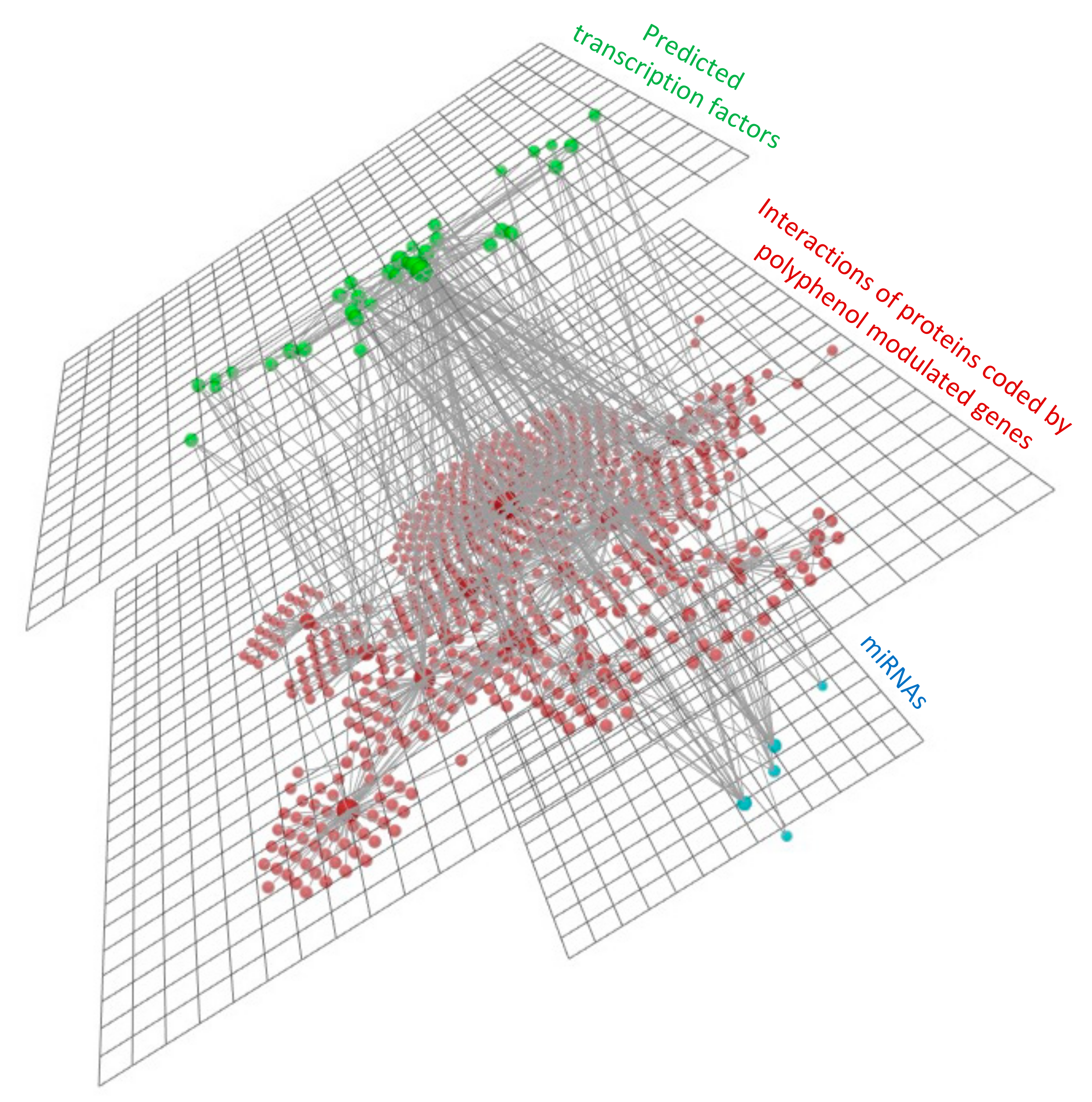 Nutrients 13 02326 g010