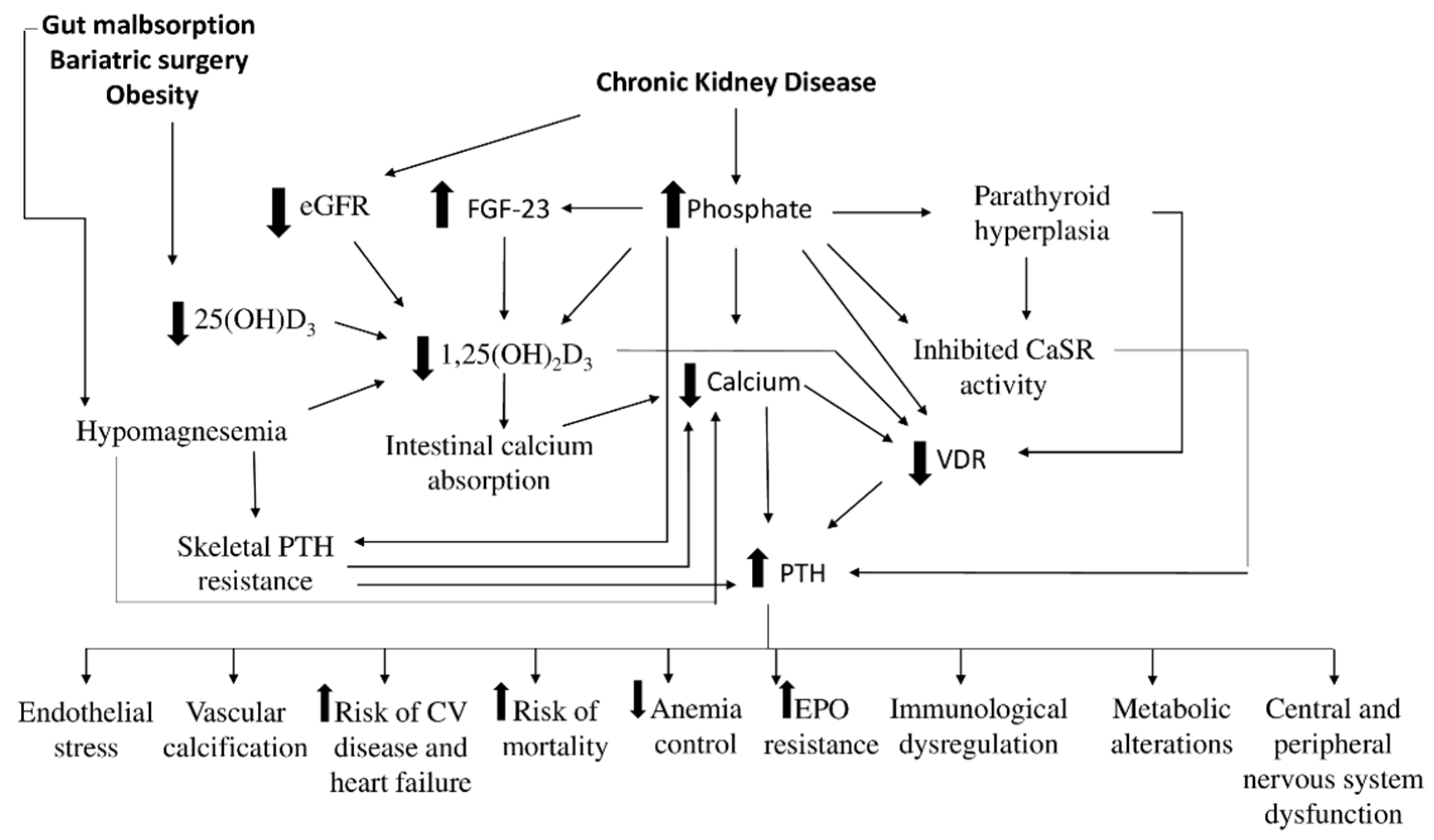 Nutrients 13 02328 g001 Nutrients 13 02328 g001