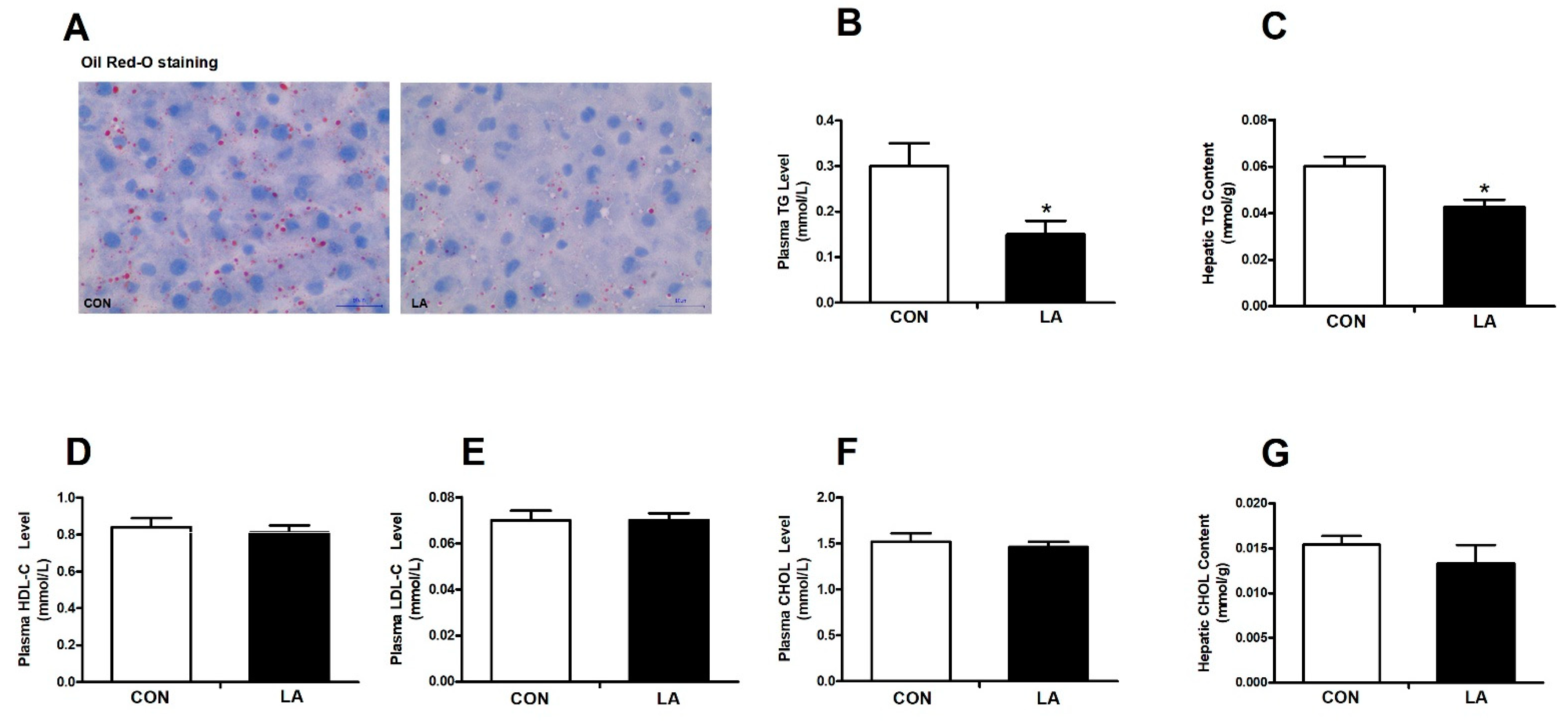 Nutrients 13 02331 g001 Nutrients 13 02331 g001