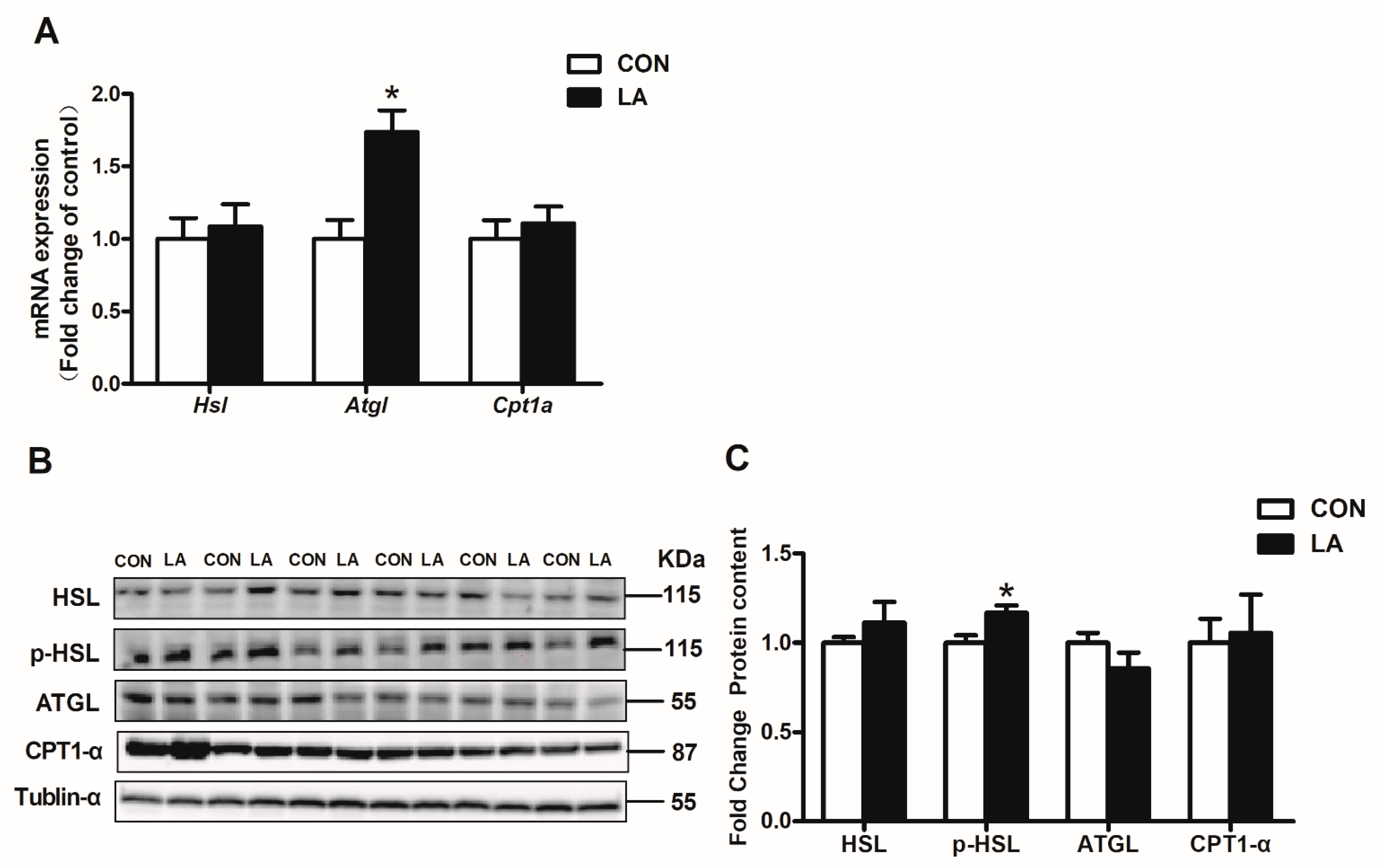 Nutrients 13 02331 g003 Nutrients 13 02331 g003