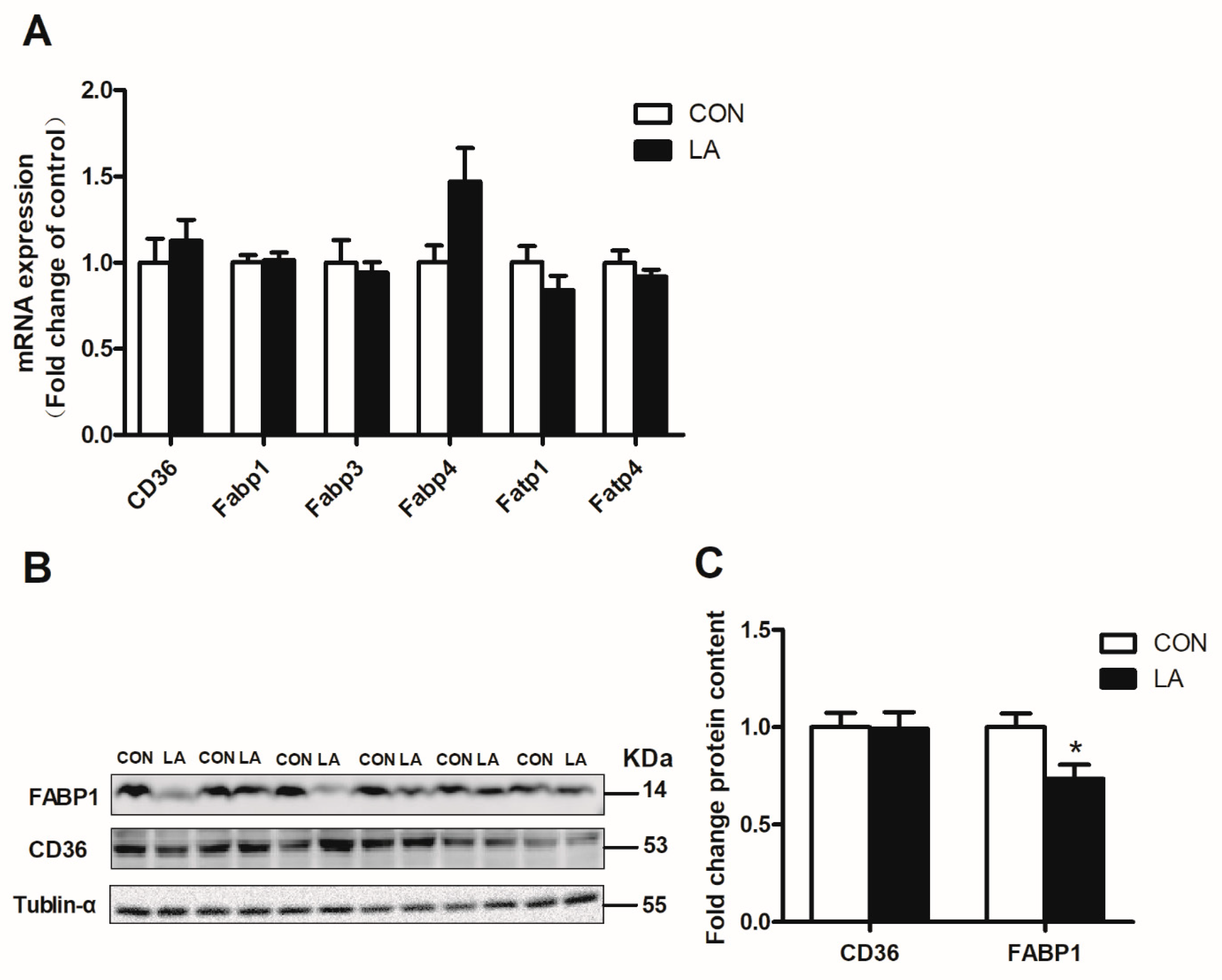 Nutrients 13 02331 g004 Nutrients 13 02331 g004