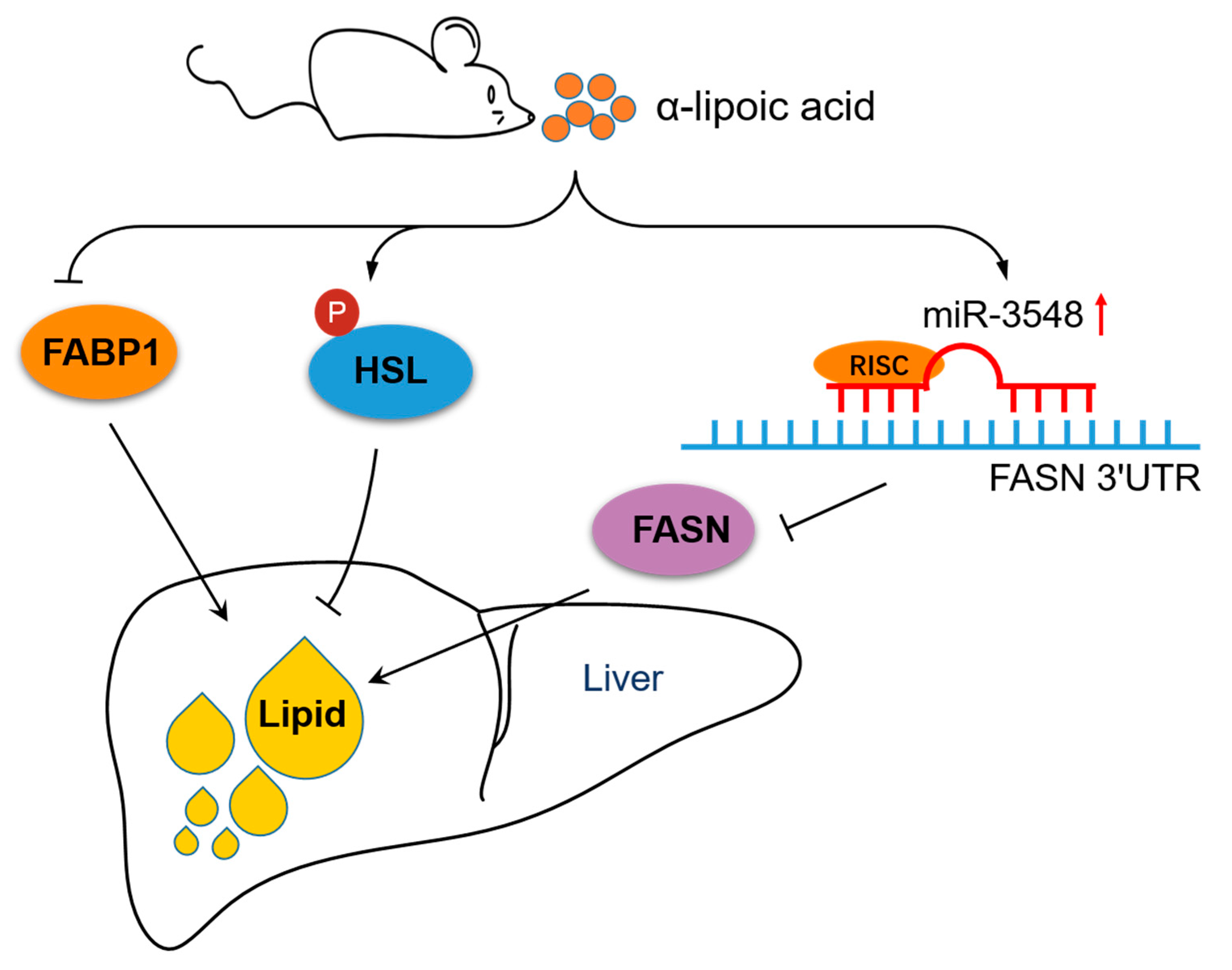 Nutrients 13 02331 g006 Nutrients 13 02331 g006