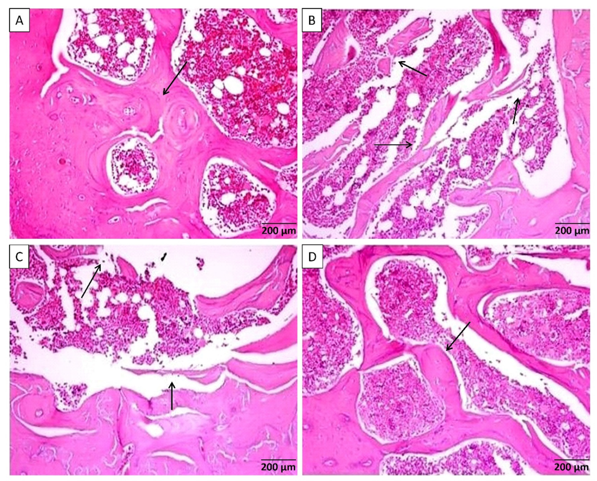 Nutrients 13 02365 g001